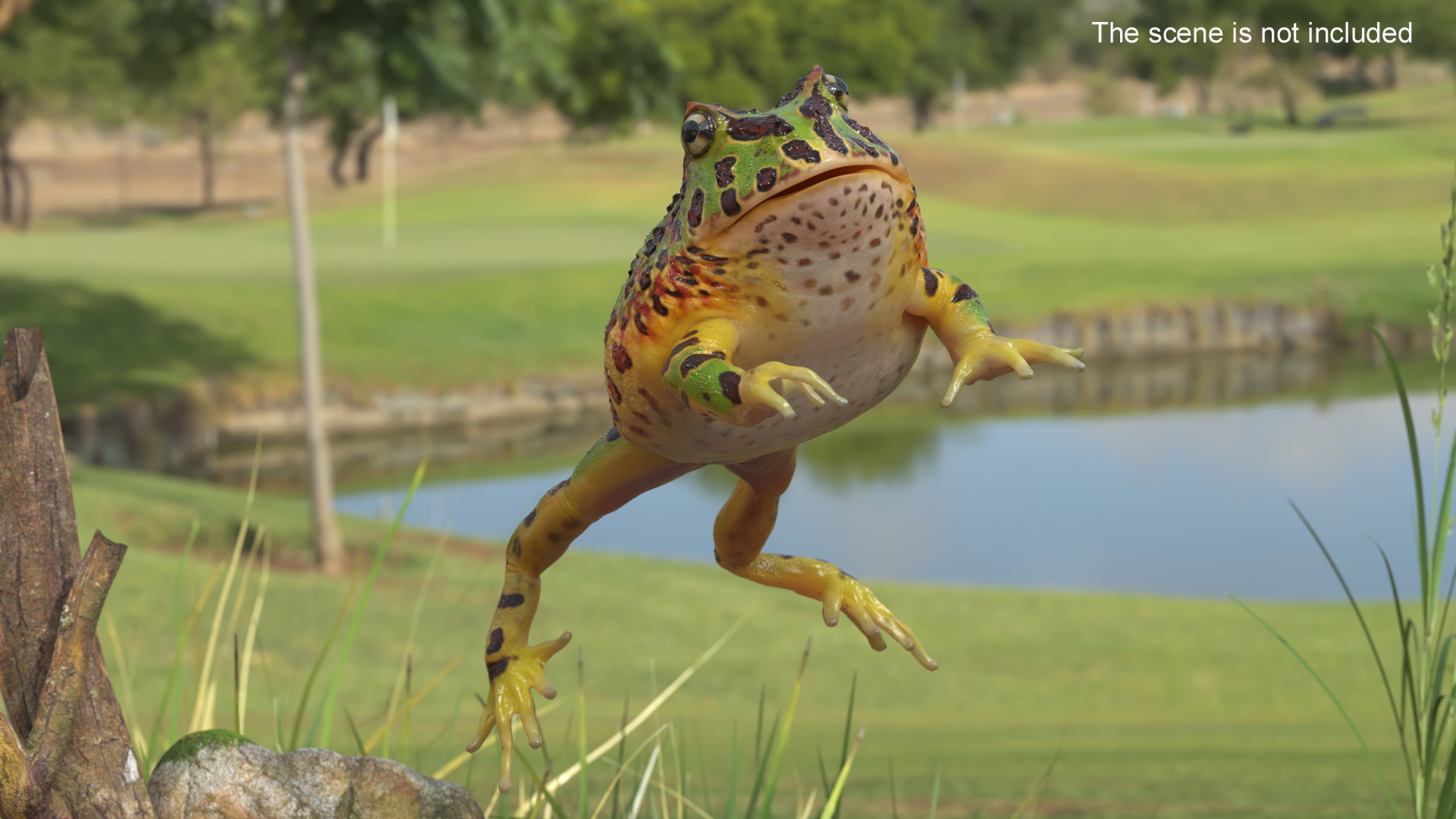 3D Realistic Horned Toad Rigged model