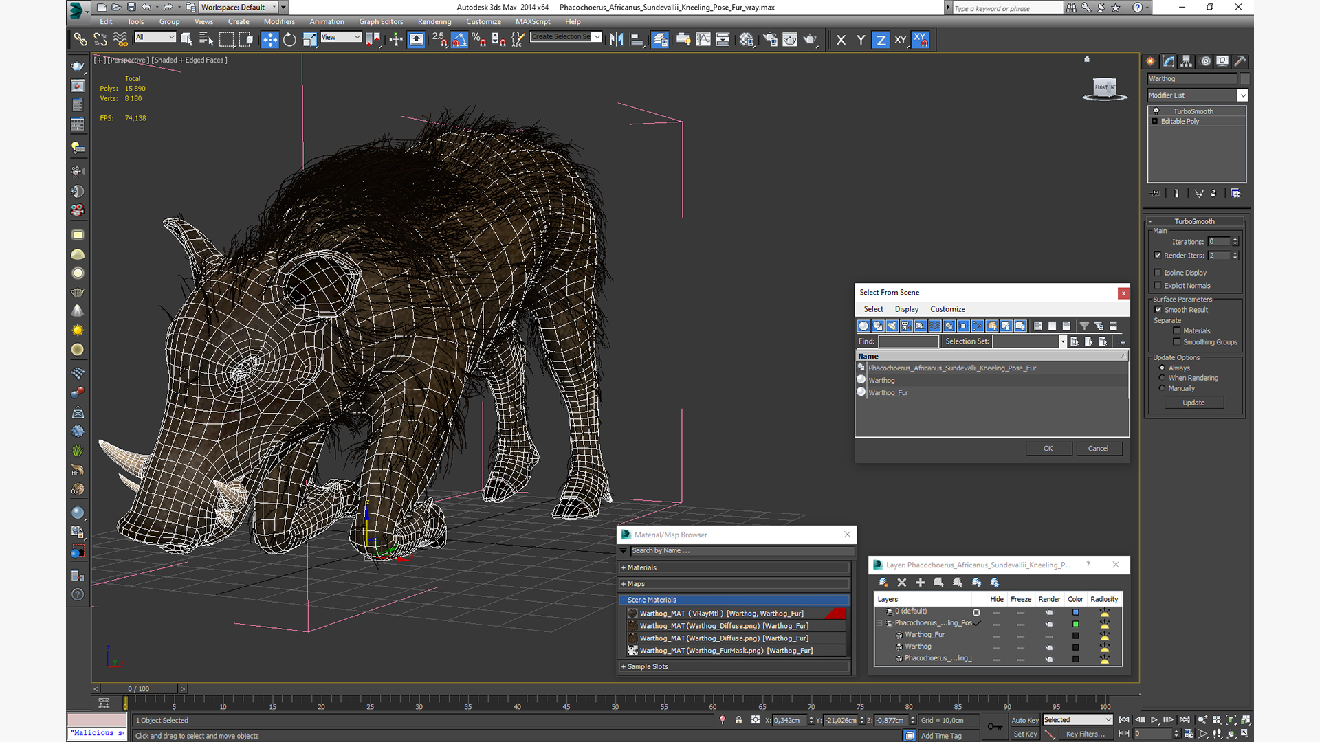 Phacochoerus Africanus Sundevallii Kneeling Pose Fur 3D