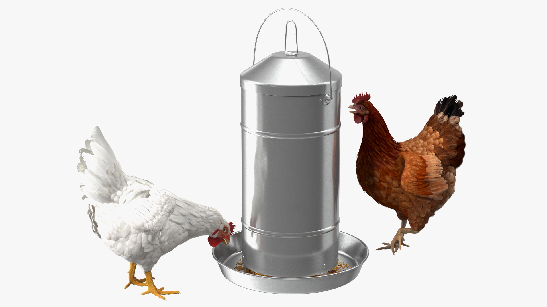 3D Poultry Feeder with Chickens model