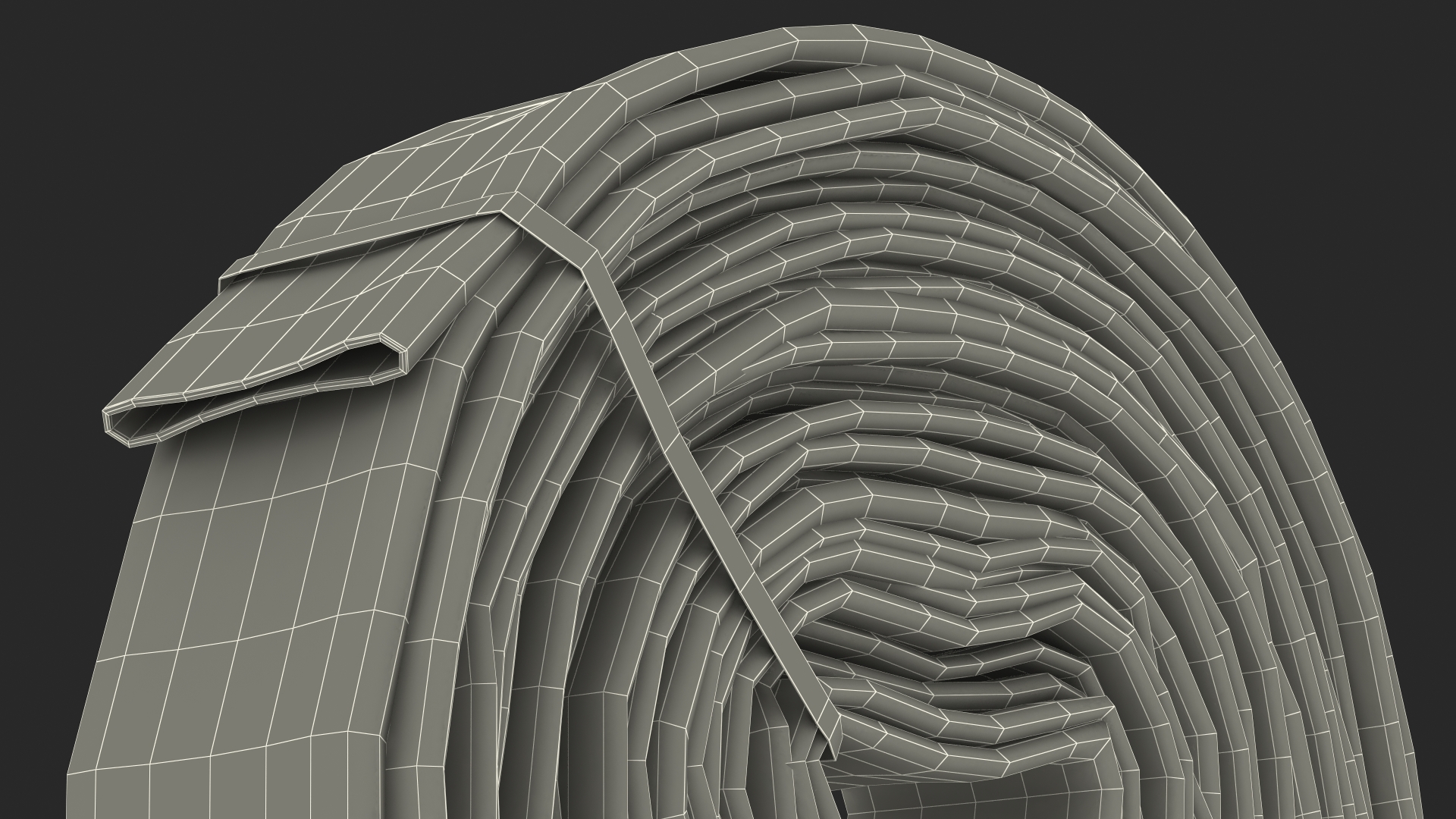 3D Fire Hose Folded