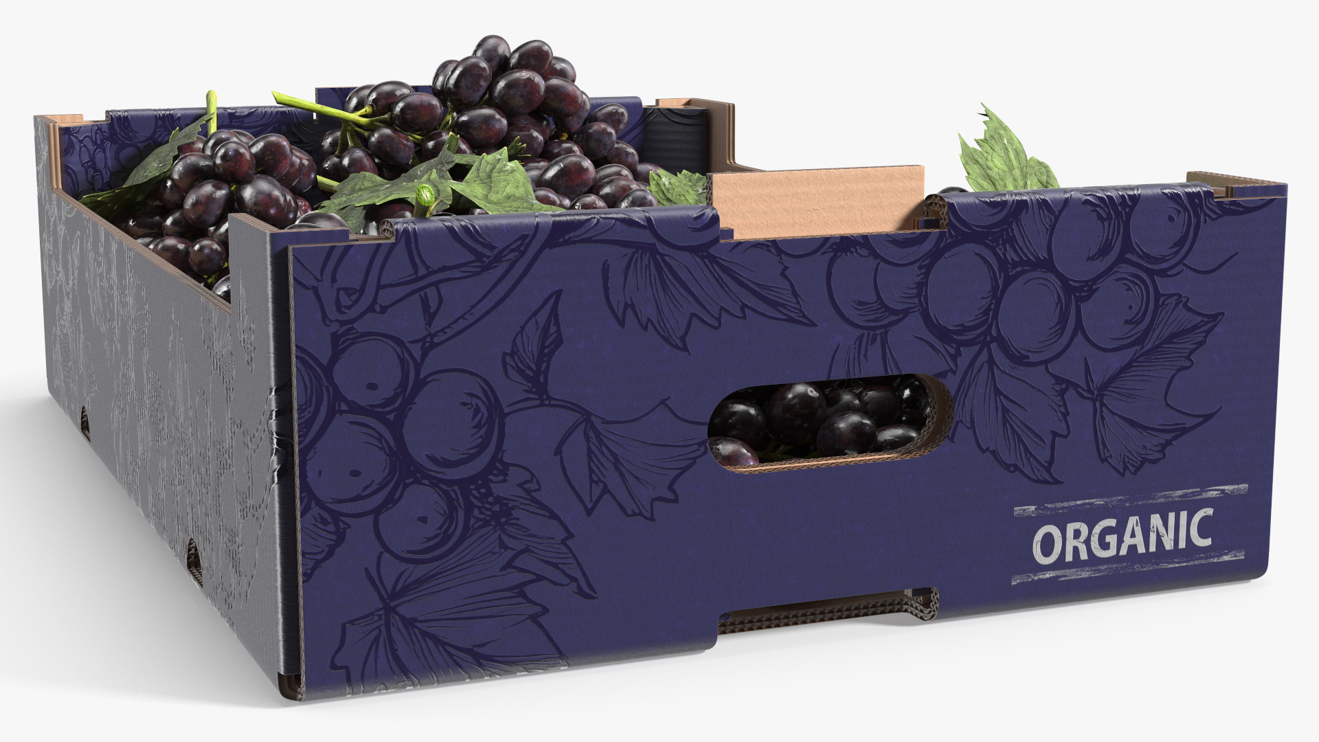 Black Grapes in Corrugated Organic Produce Box, view 4