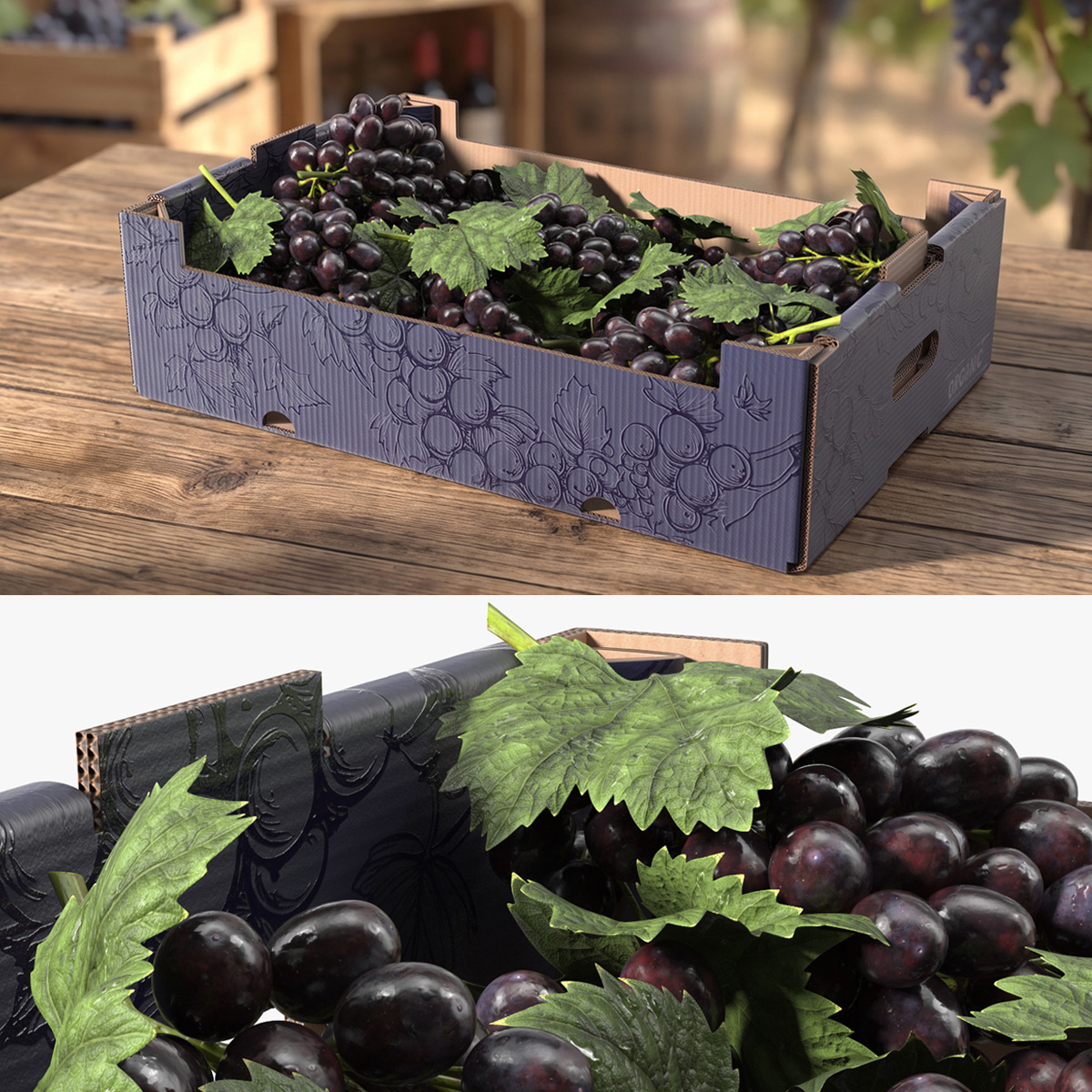 Black Grapes in Corrugated Organic Produce Box