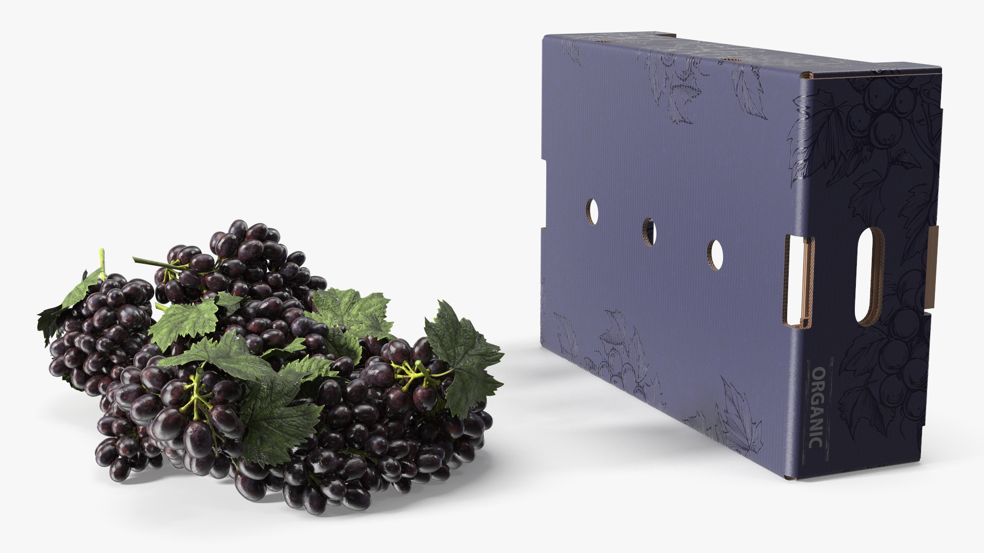 Black Grapes in Corrugated Organic Produce Box, view 8