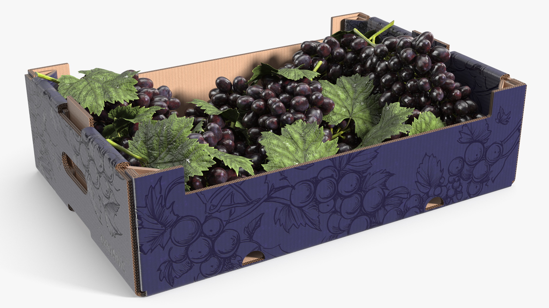 Black Grapes in Corrugated Organic Produce Box, view 3