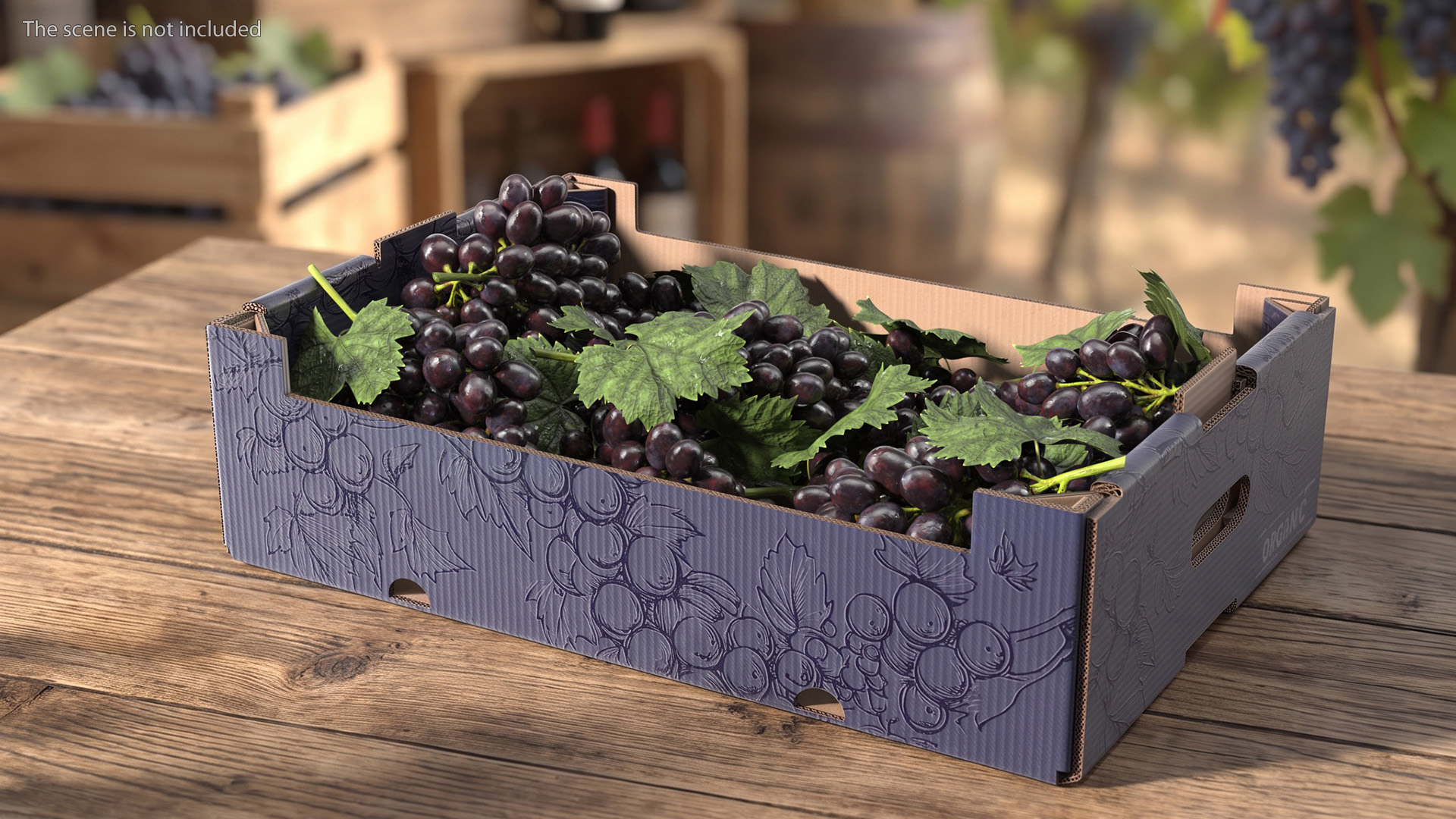 Black Grapes in Corrugated Organic Produce Box