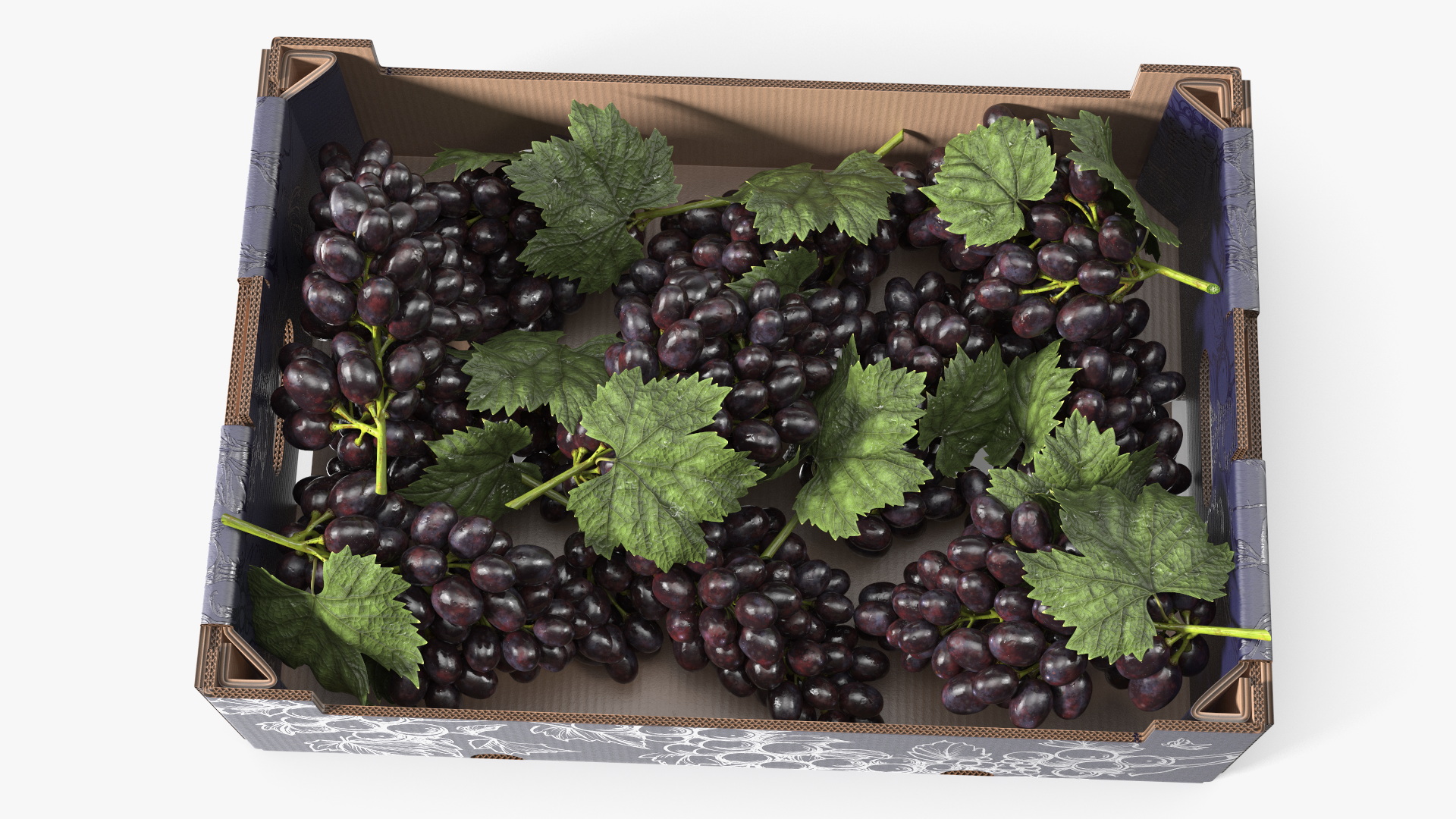 Black Grapes in Corrugated Organic Produce Box, view 5