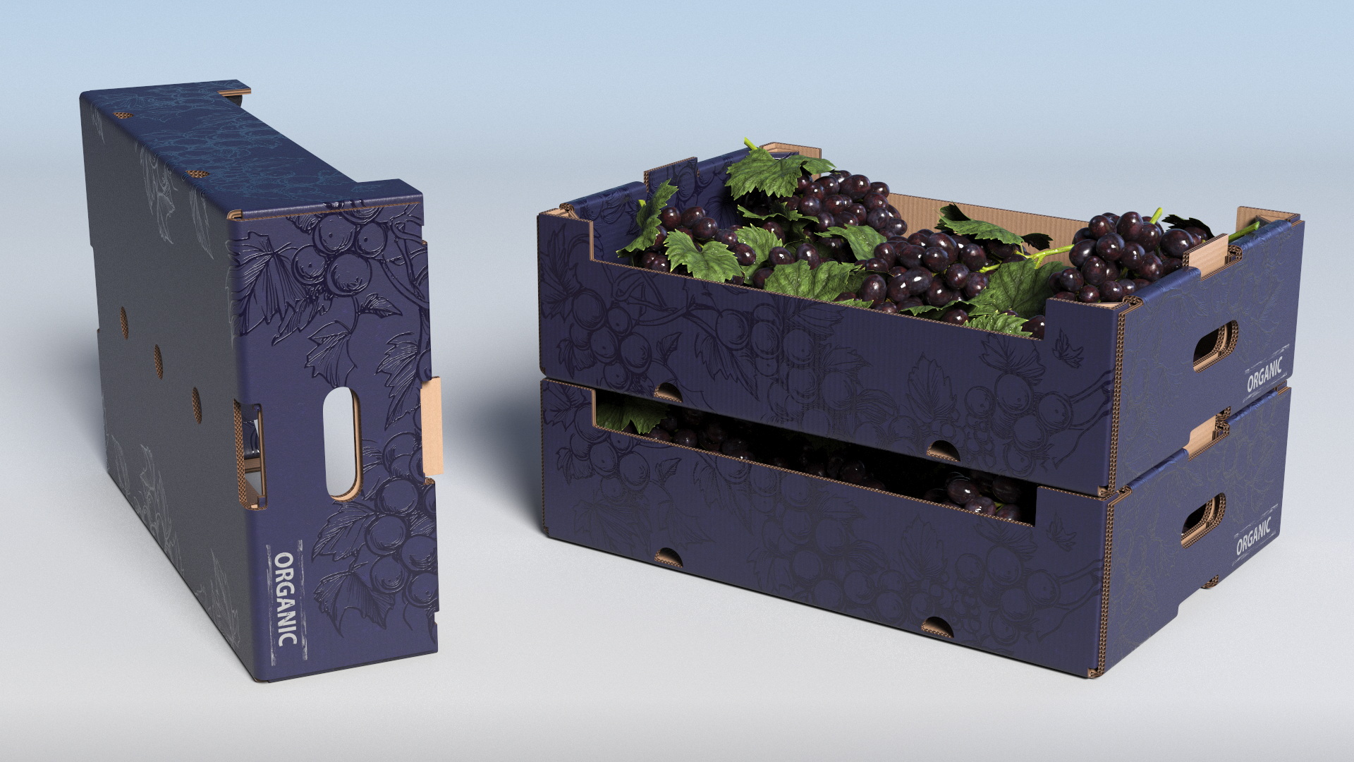 Black Grapes in Corrugated Organic Produce Box, view 2