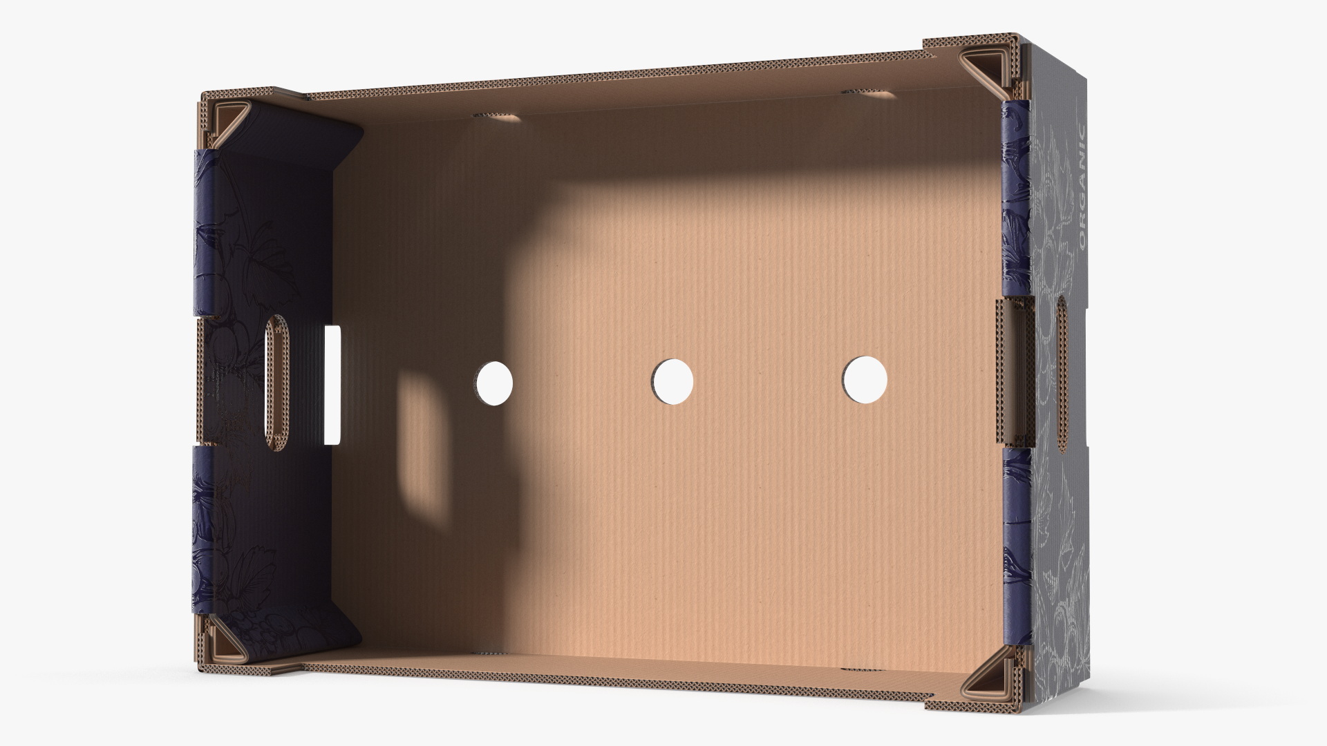 Black Grapes in Corrugated Organic Produce Box, view 10