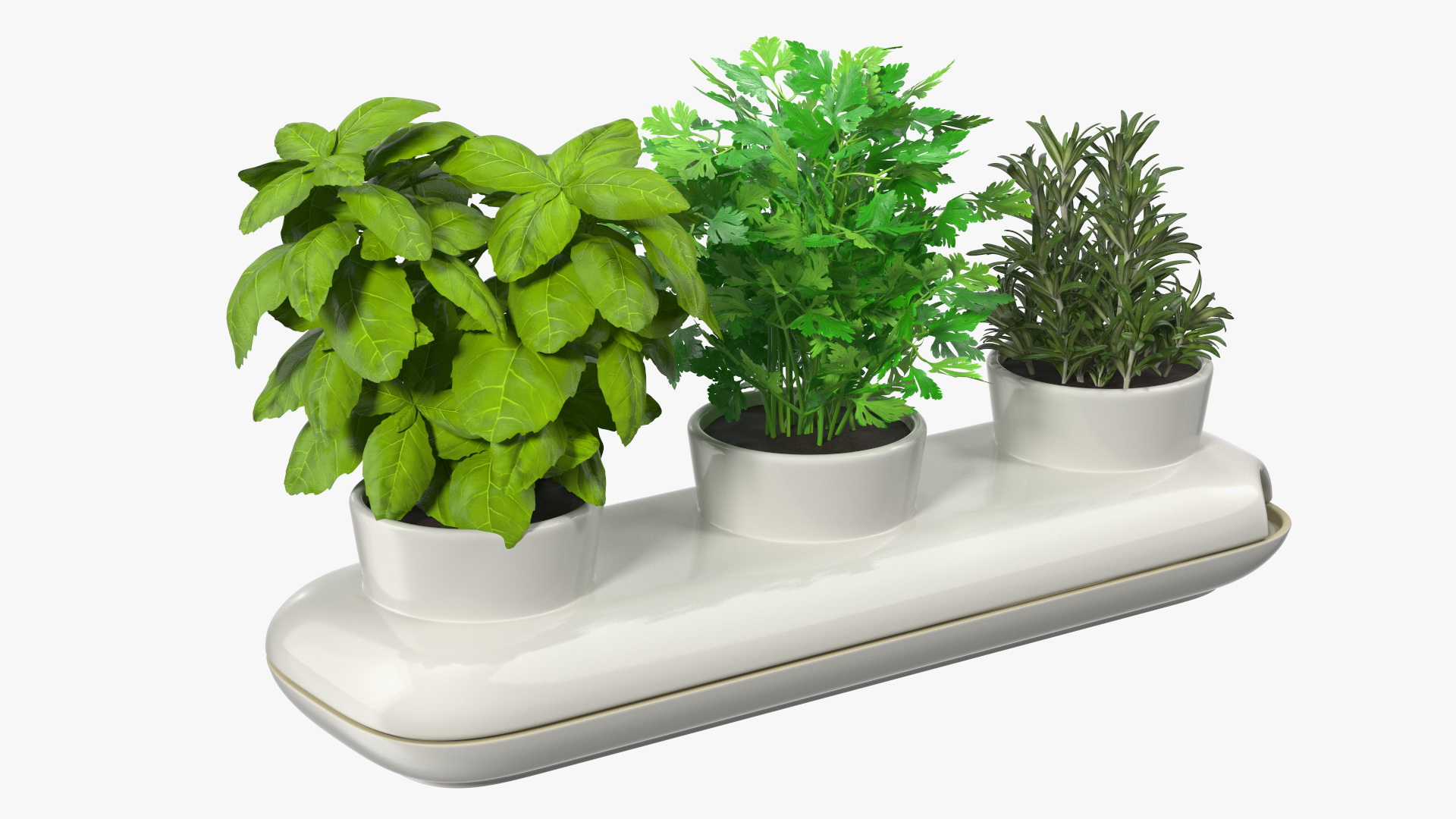Trio Pot with Herbs Sagaform White 3D model