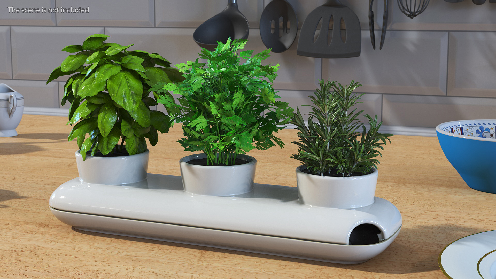 Trio Pot with Herbs Sagaform White 3D model