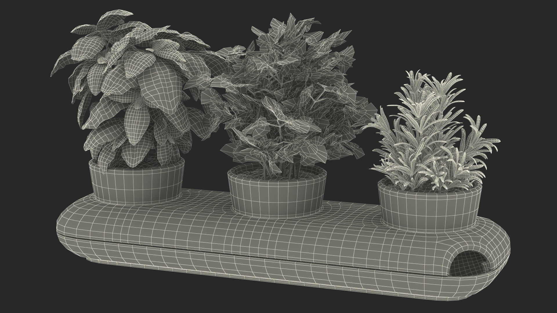 Trio Pot with Herbs Sagaform White 3D model