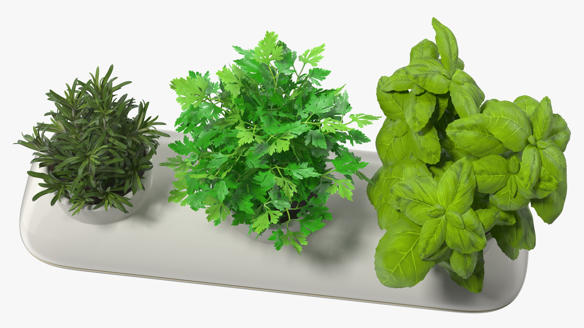 Trio Pot with Herbs Sagaform White 3D model