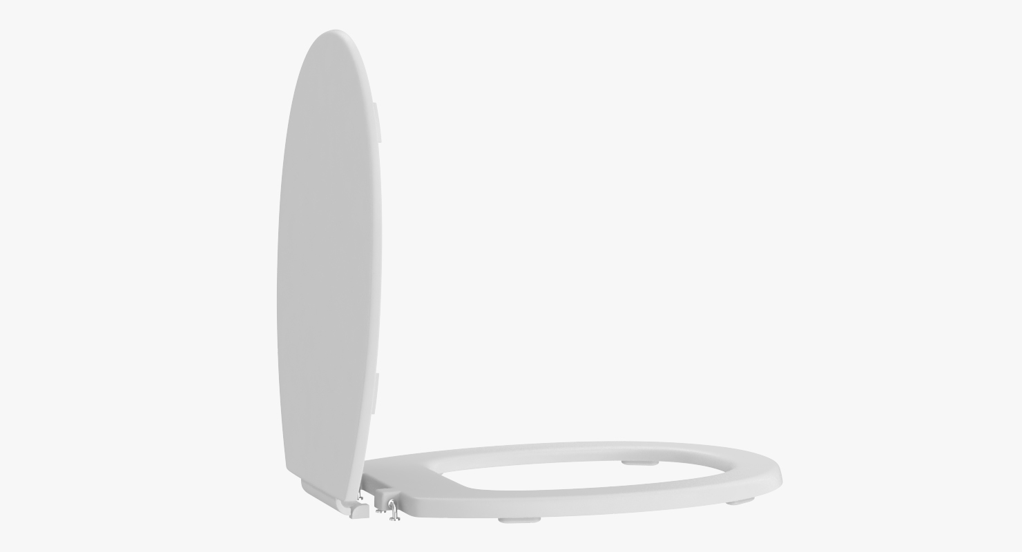 3D Toilet Seat
