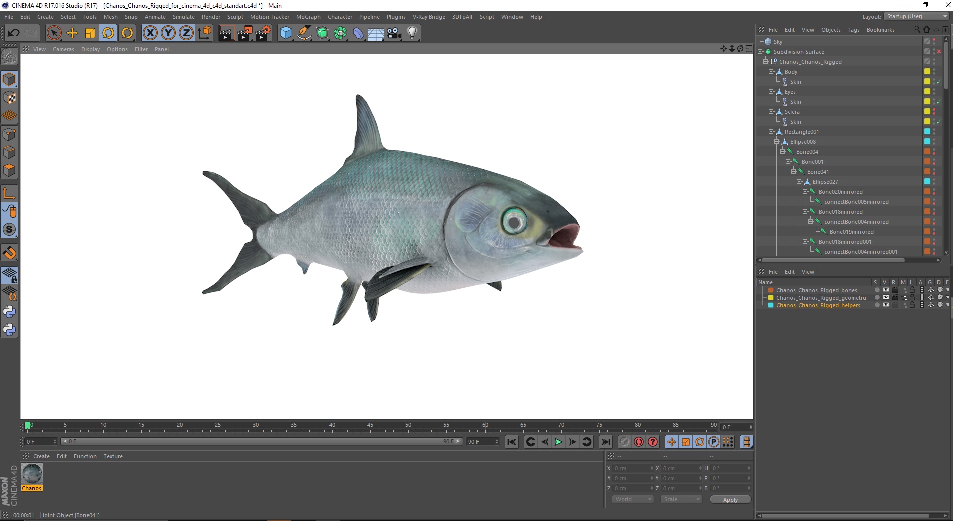 Chanos Chanos Rigged for Cinema 4D 3D model