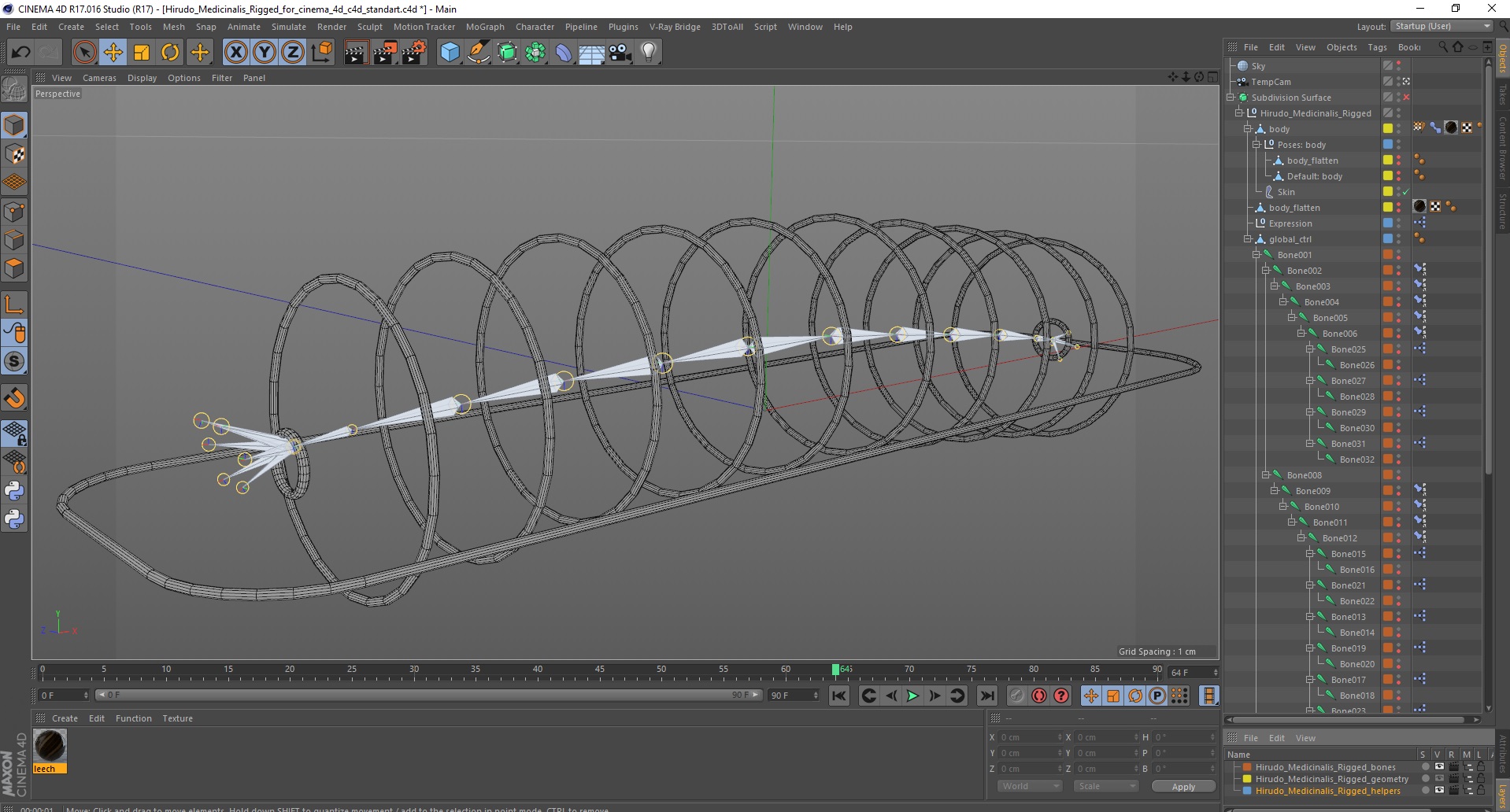 Hirudo Medicinalis Rigged for Cinema 4D 3D model