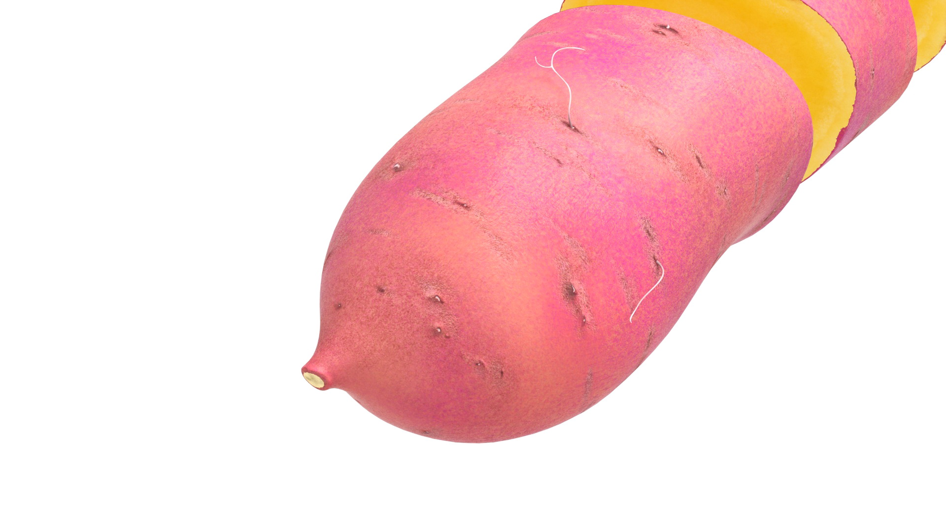 3D model Sweet Potato Red Cut
