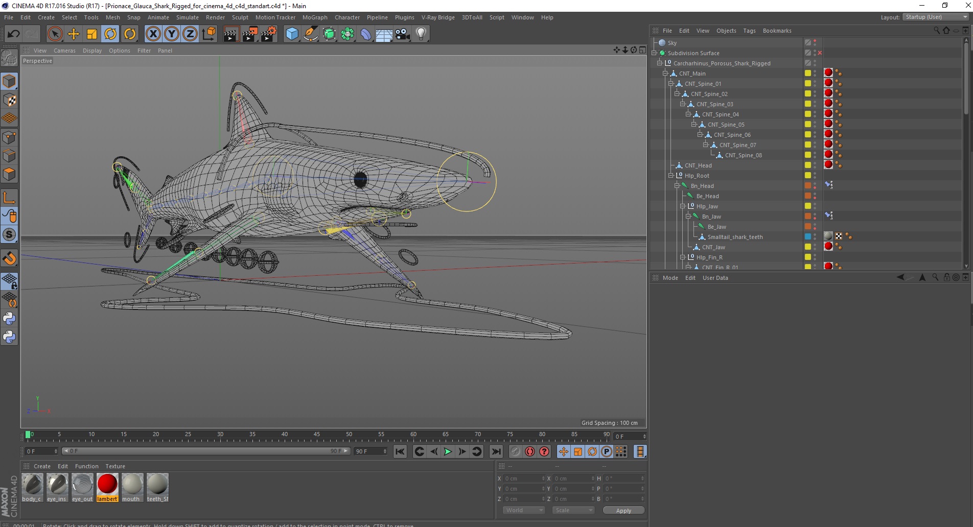 Carcharhinus Porosus Shark Rigged for Cinema 4D 3D