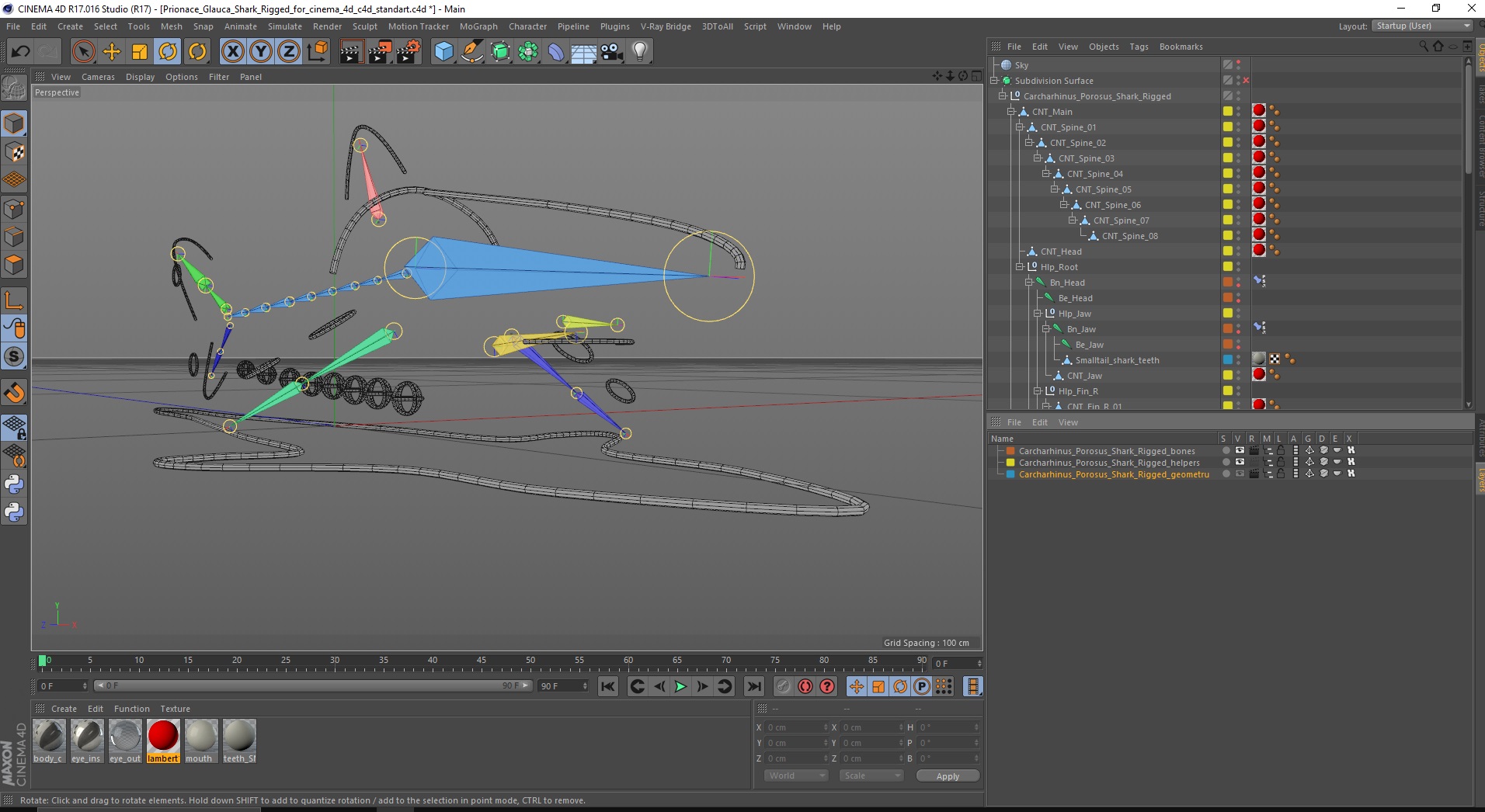 Carcharhinus Porosus Shark Rigged for Cinema 4D 3D