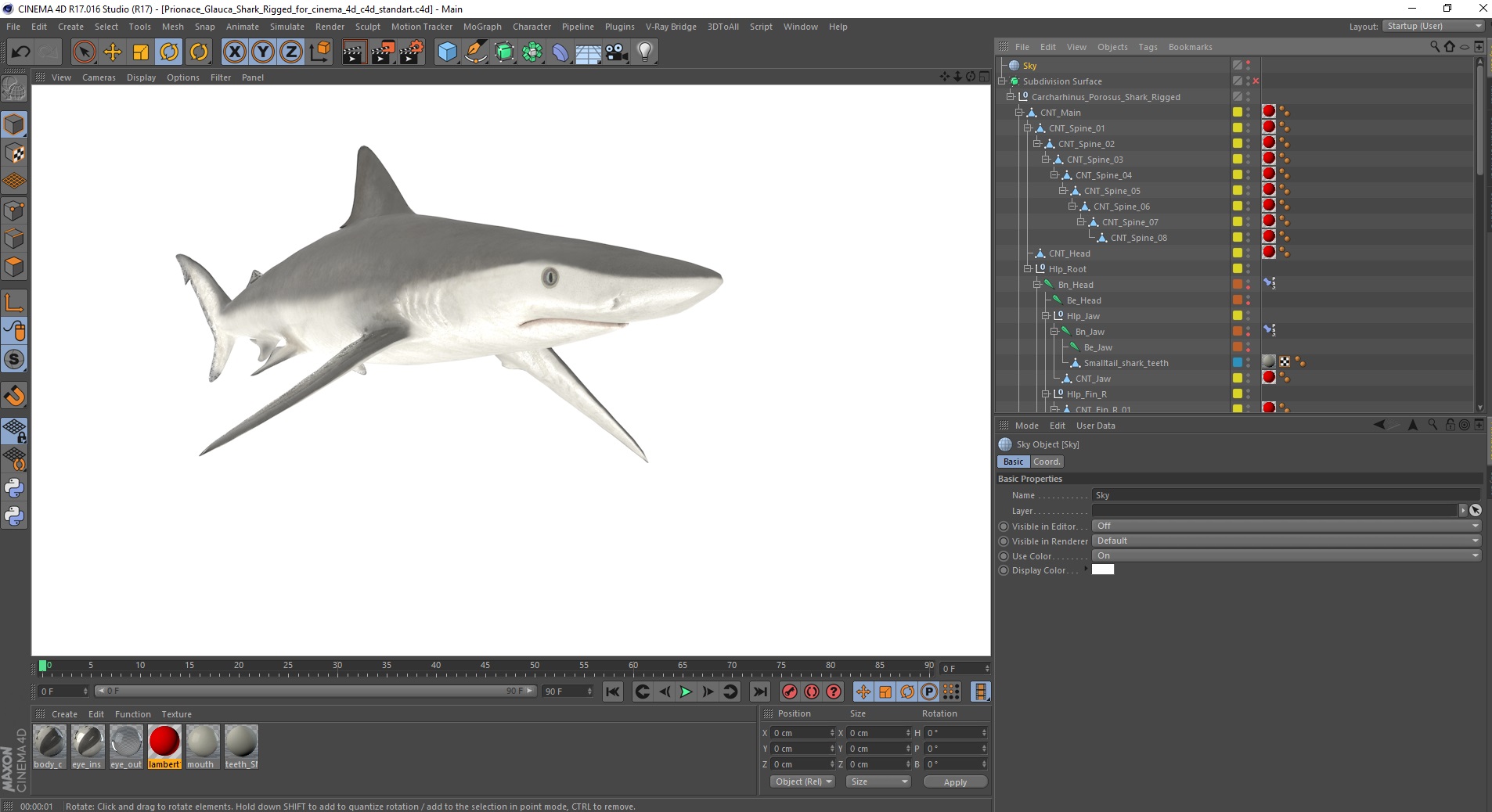Carcharhinus Porosus Shark Rigged for Cinema 4D 3D