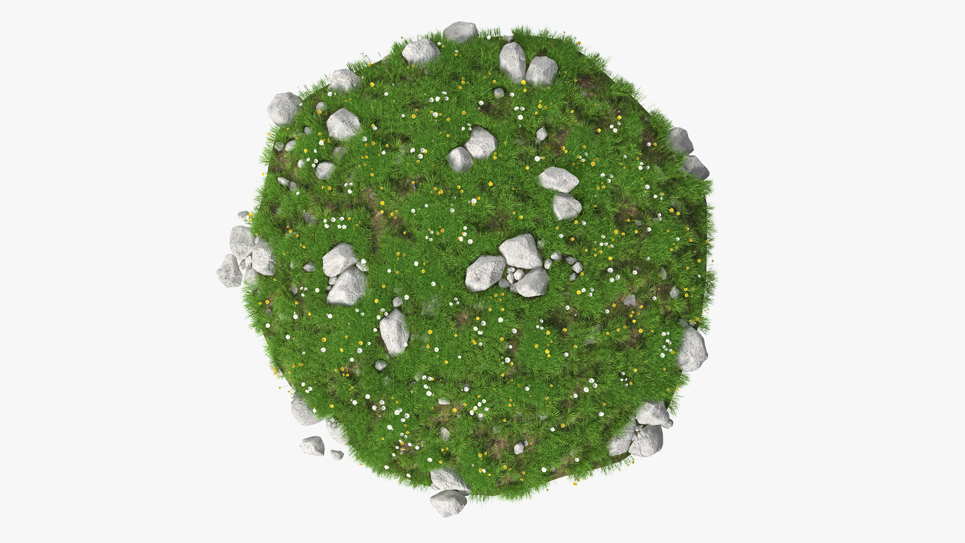 3D Meadow with Blooming Flowers model