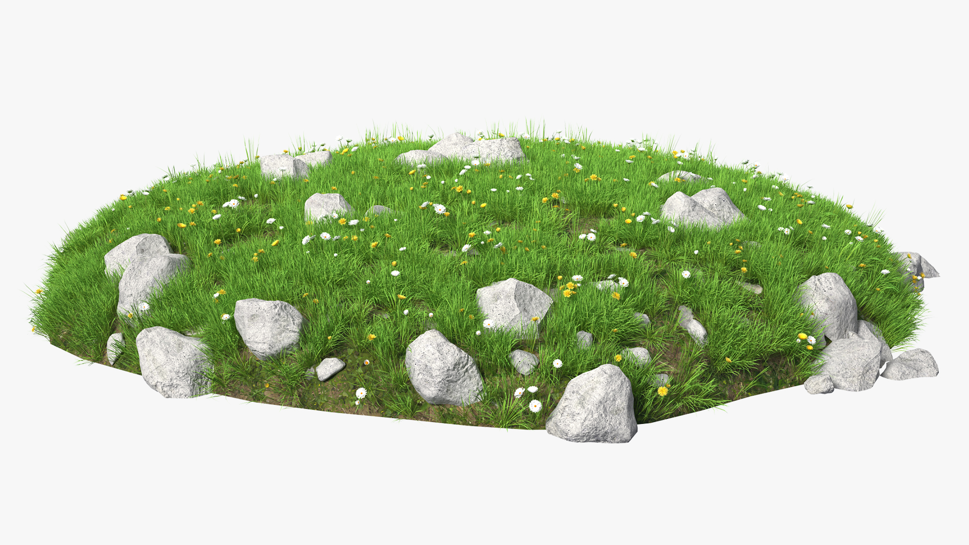 3D Meadow with Blooming Flowers model