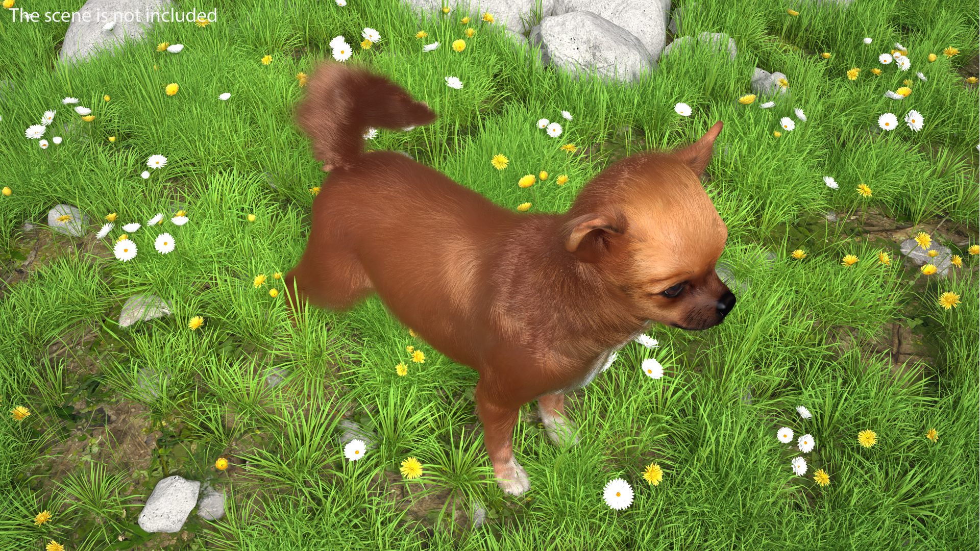 3D Meadow with Blooming Flowers model