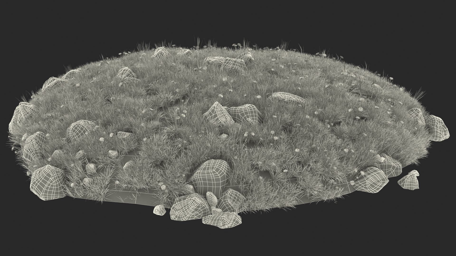 3D Meadow with Blooming Flowers model