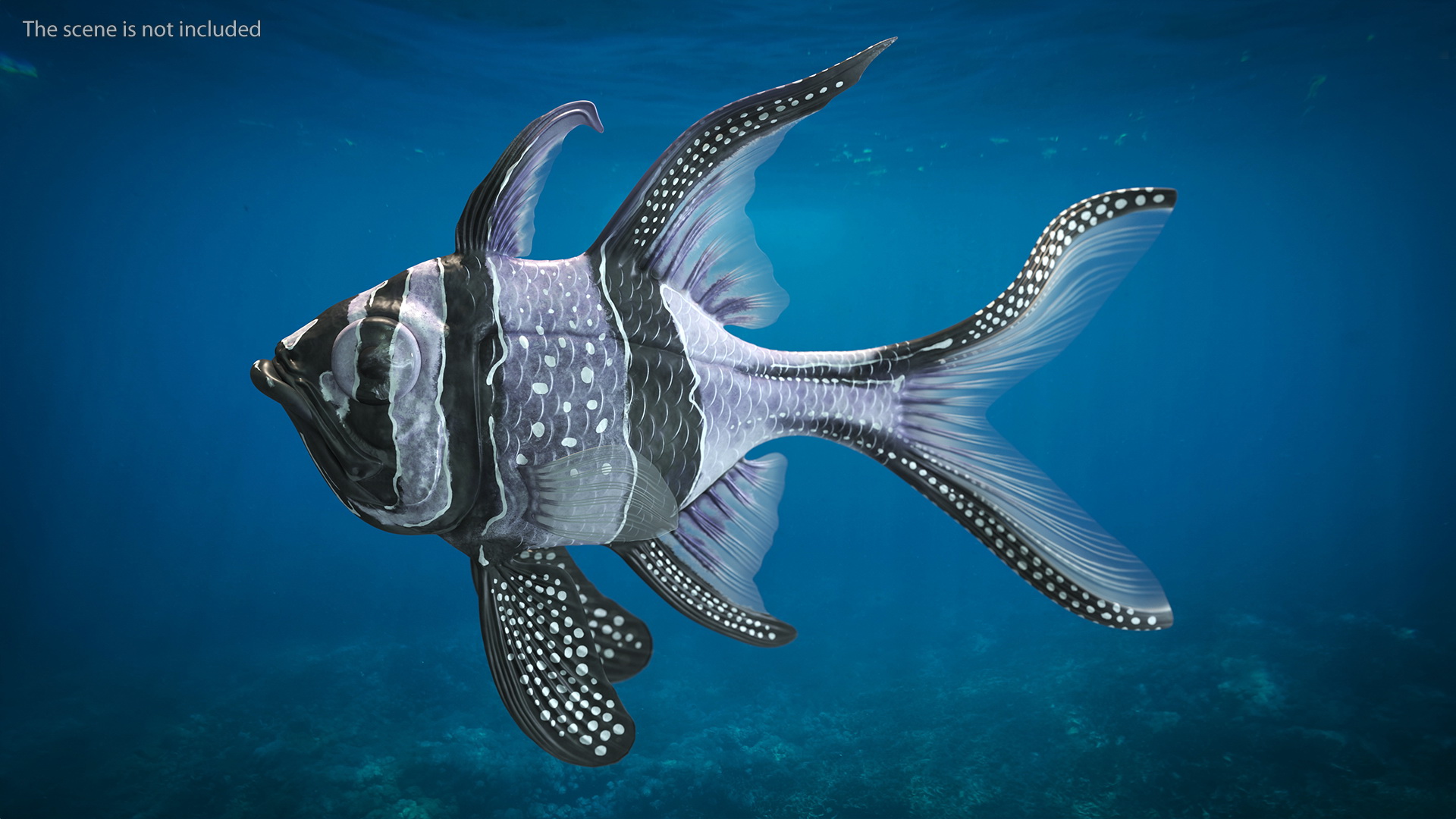 Longfin Cardinalfish Swimming Pose 3D model