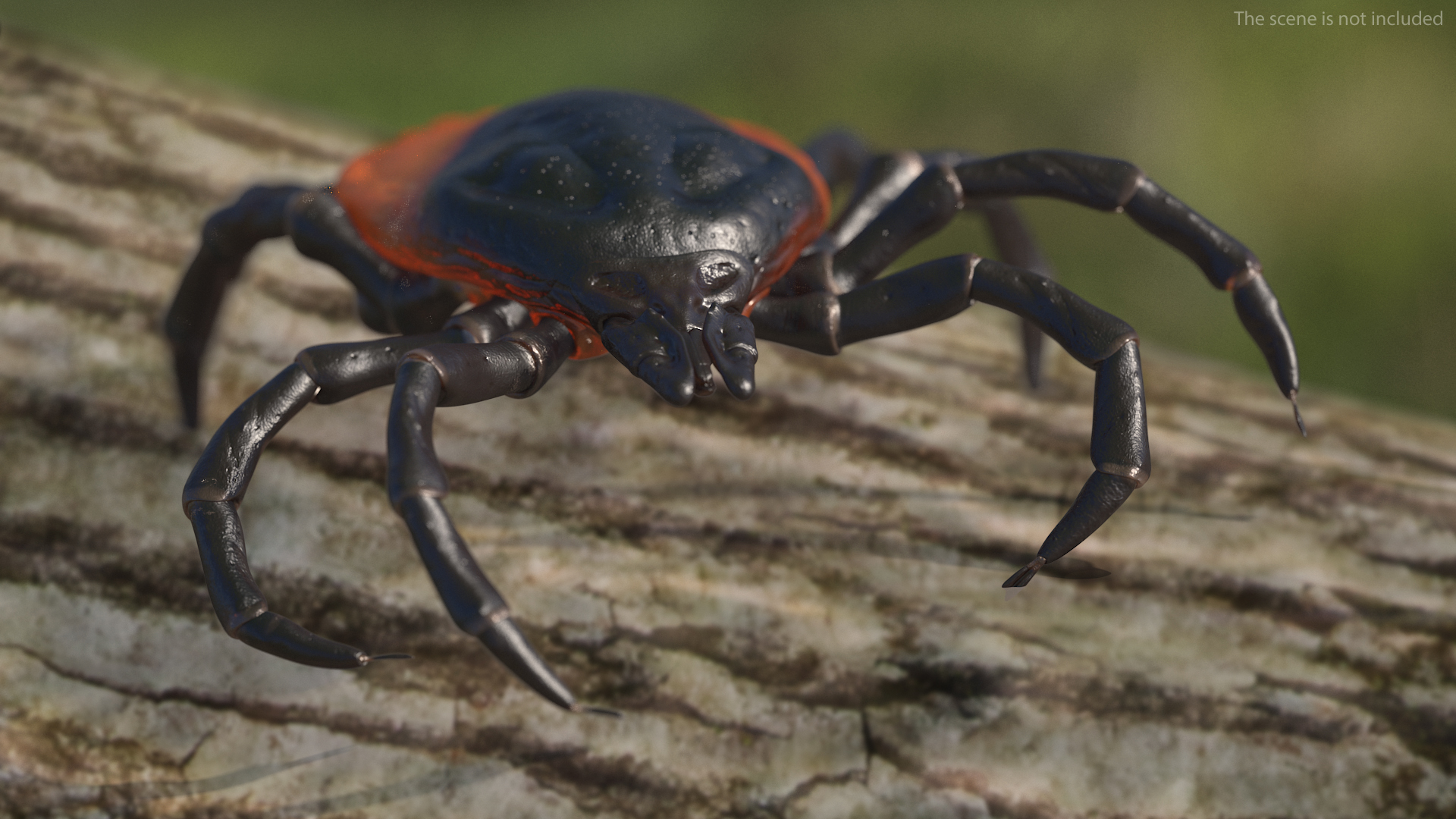 3D Tick Crawling Pose model