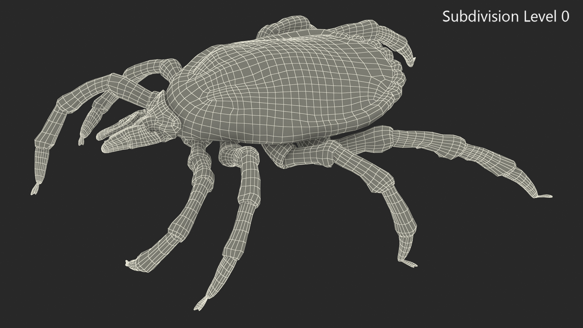 3D Tick Crawling Pose model