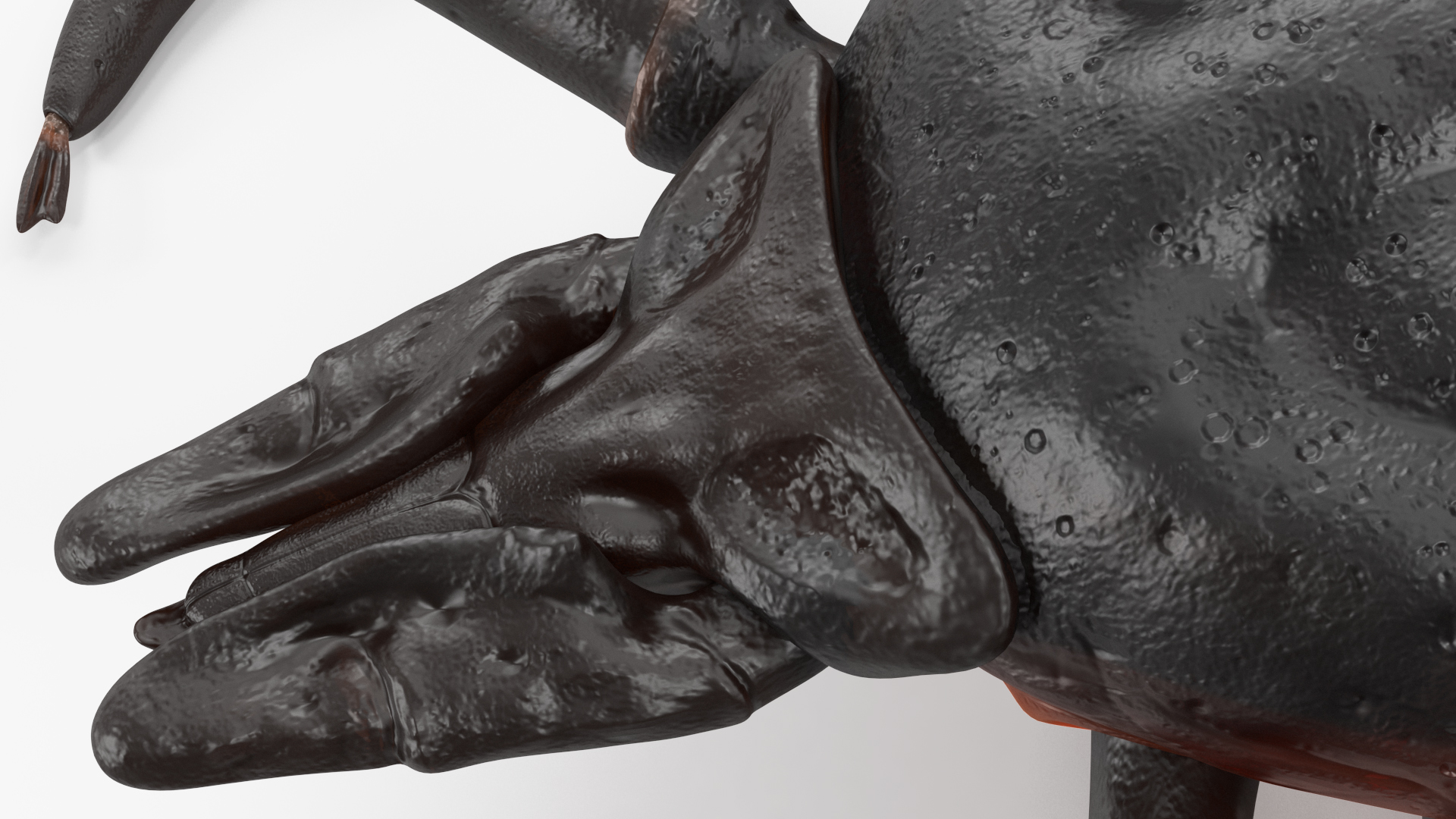 3D Tick Crawling Pose model