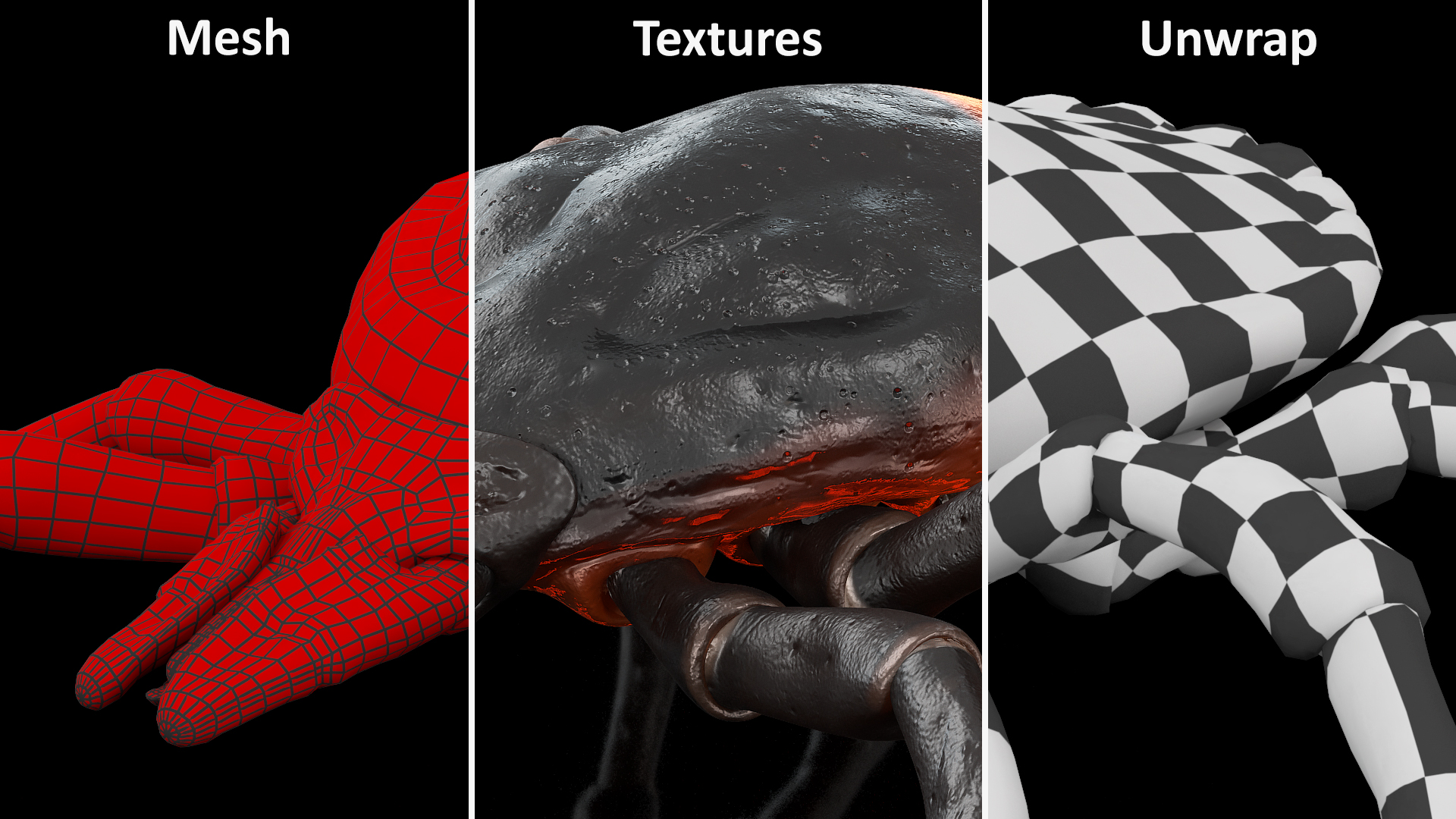 3D Tick Crawling Pose model
