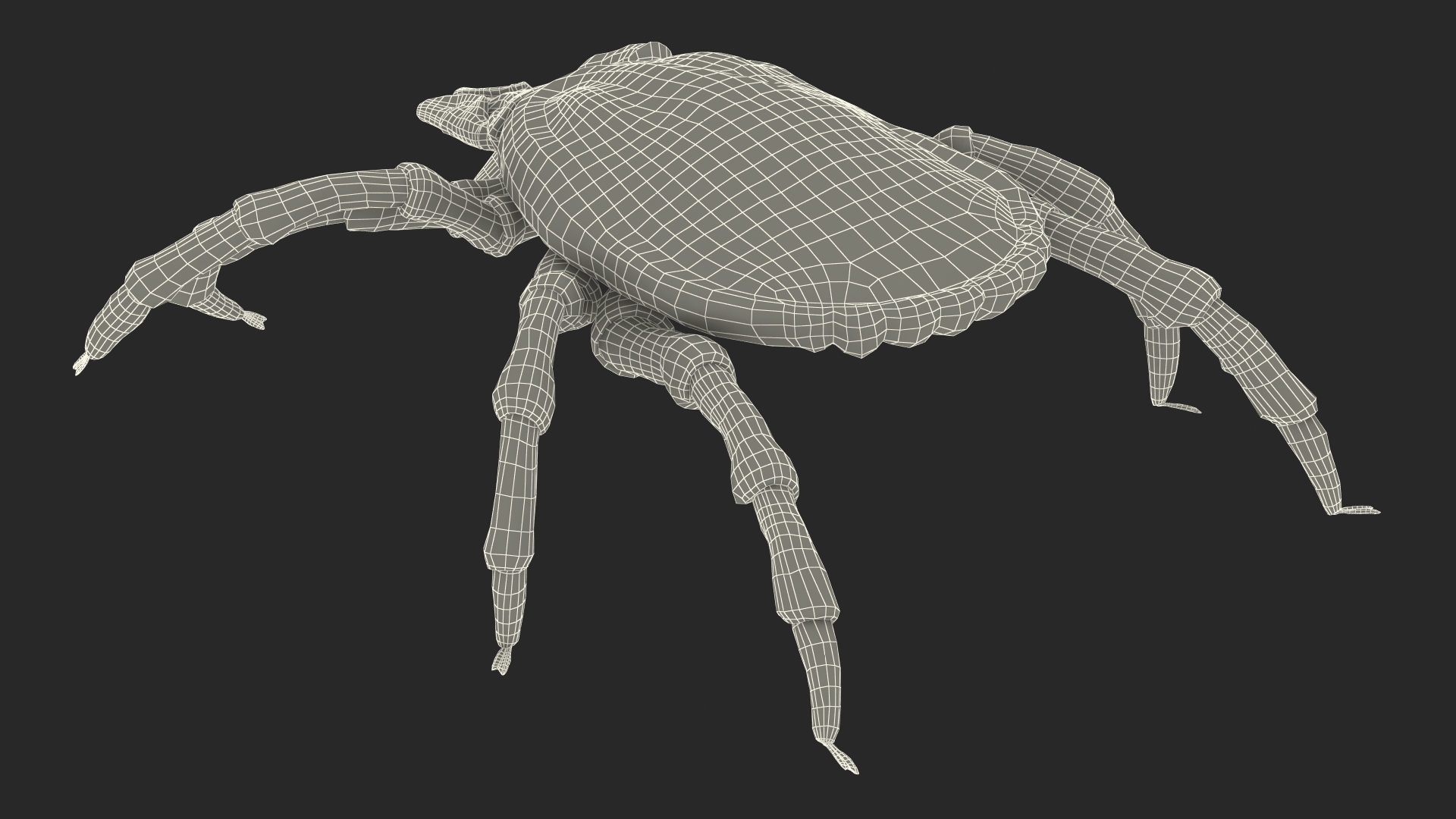 3D Tick Crawling Pose model