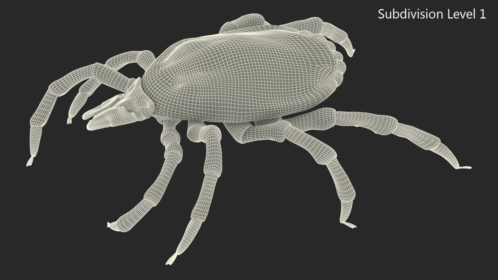 3D Tick Crawling Pose model