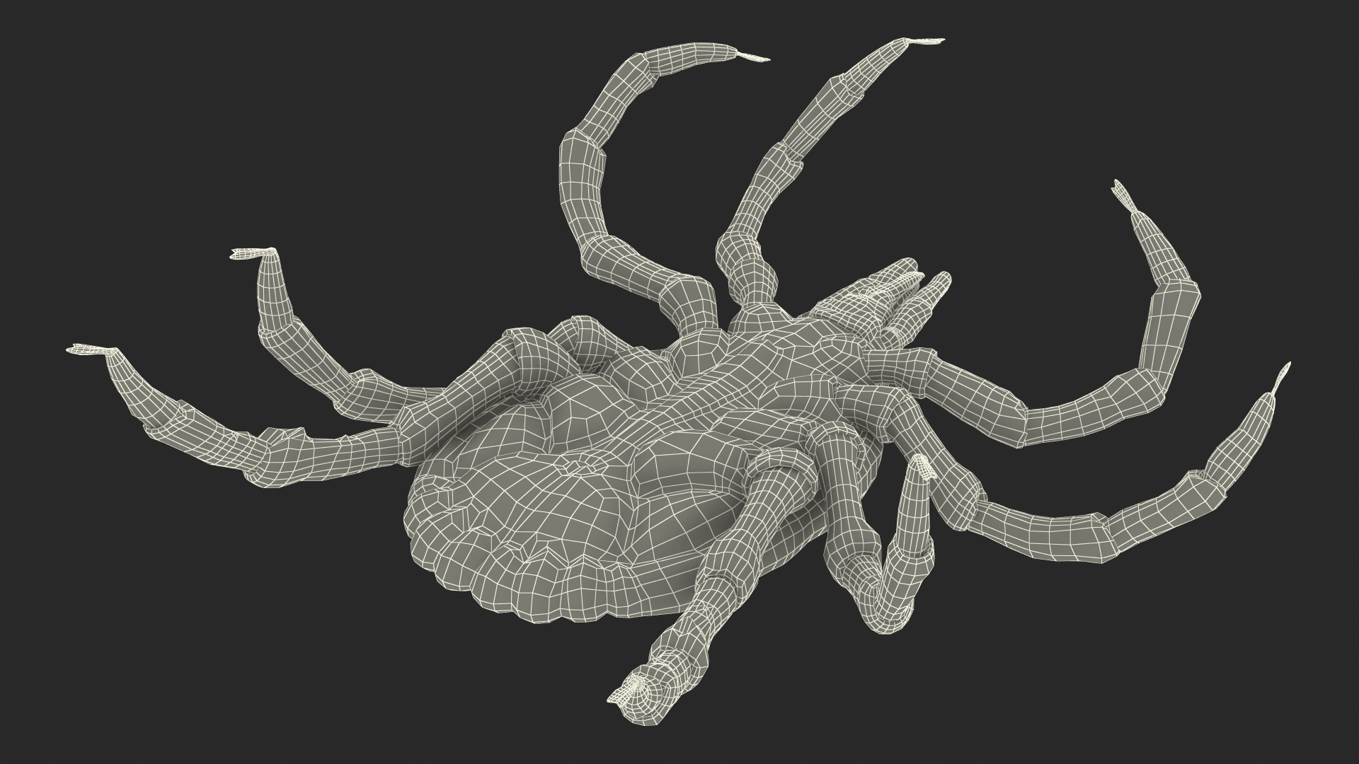 3D Tick Crawling Pose model