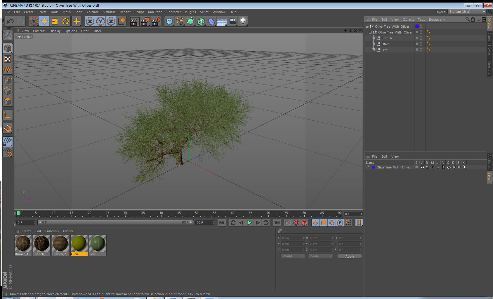Olive Tree With Olives 3D