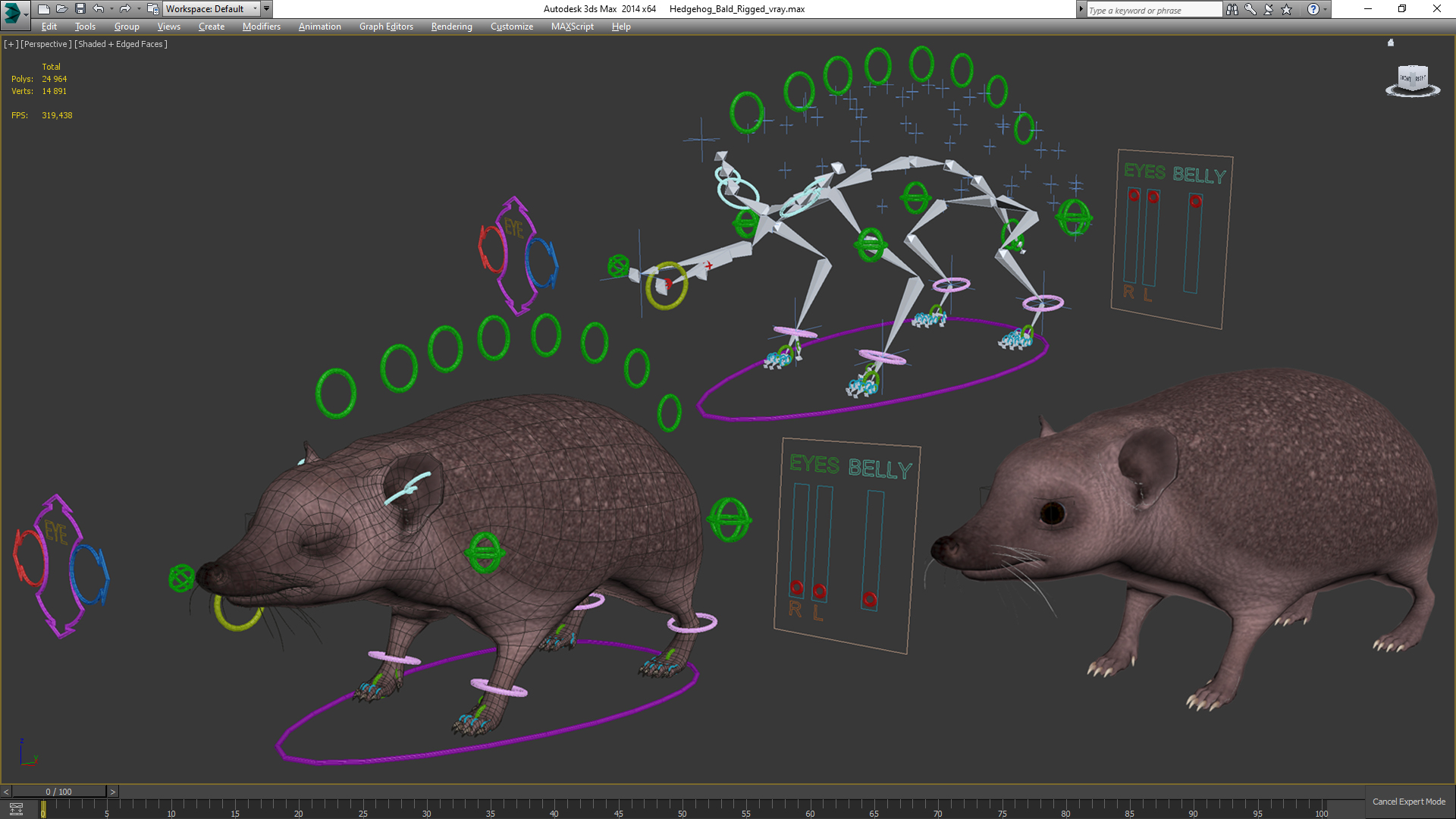 Hedgehog Bald Rigged for Maya 3D model