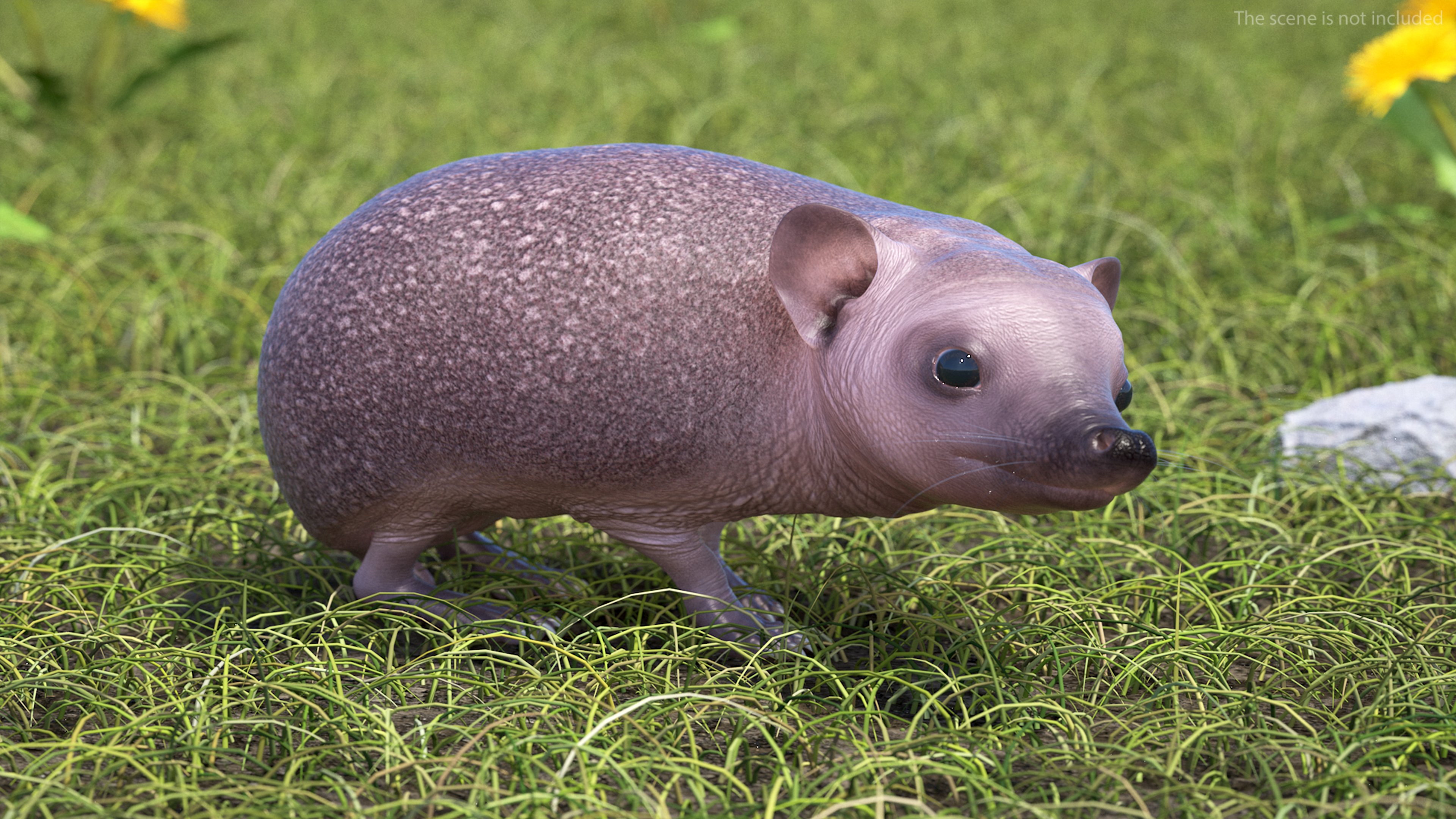 Hedgehog Bald Rigged for Maya 3D model