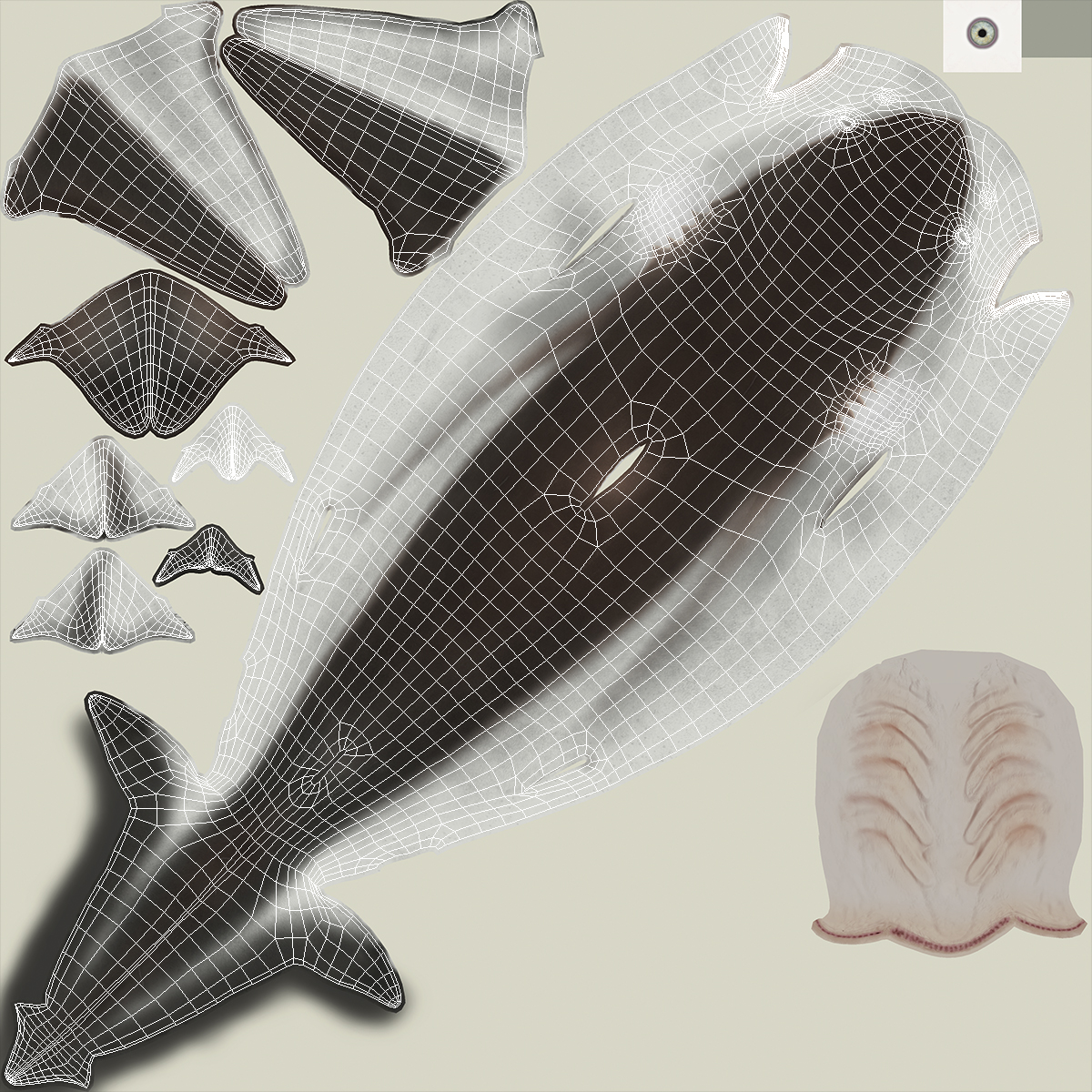3D model Grey Reef Shark