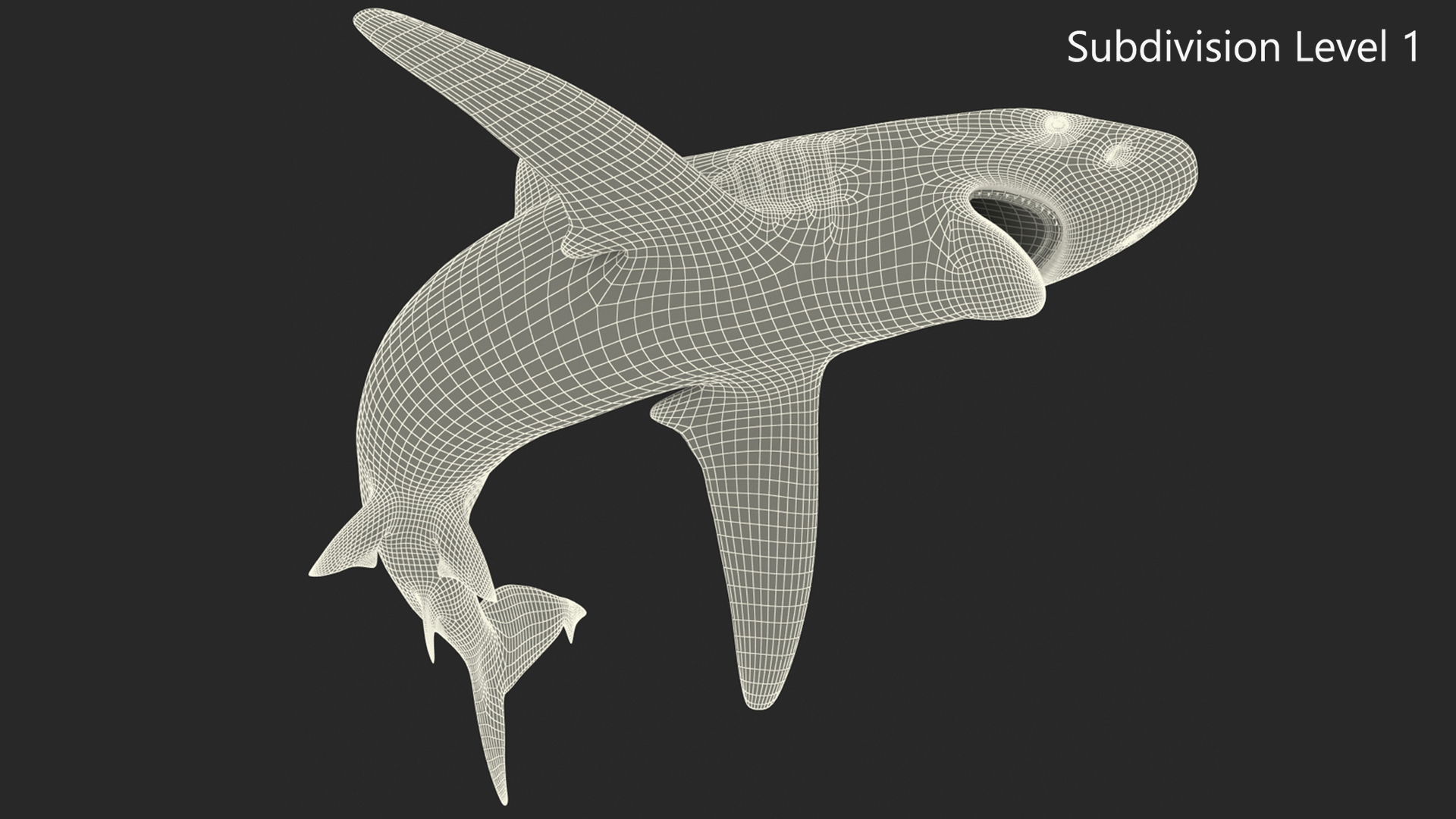 3D model Grey Reef Shark