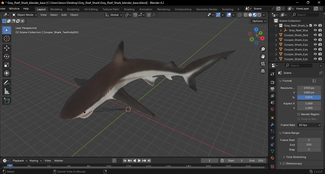 3D model Grey Reef Shark