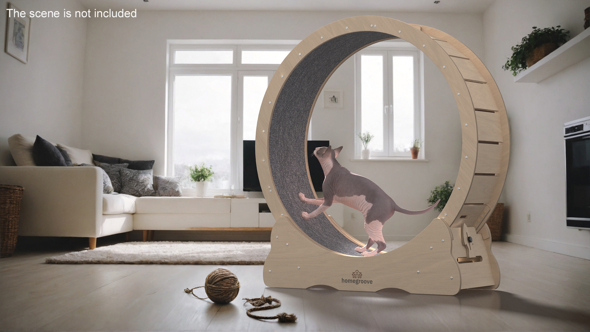 3D model Homegroove Wooden Pet Running Wheel