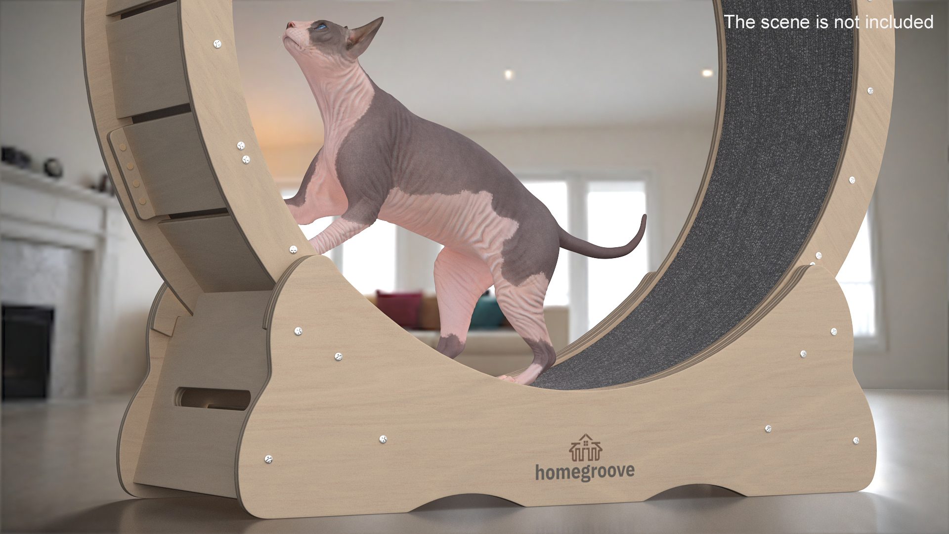 3D model Homegroove Wooden Pet Running Wheel