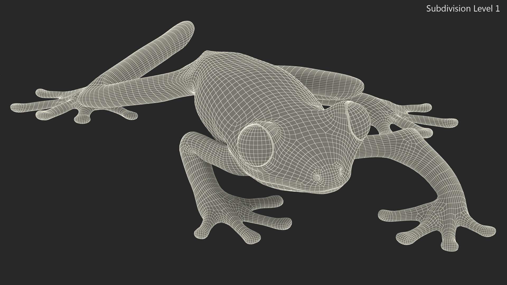 3D Agalychnis Callidryas