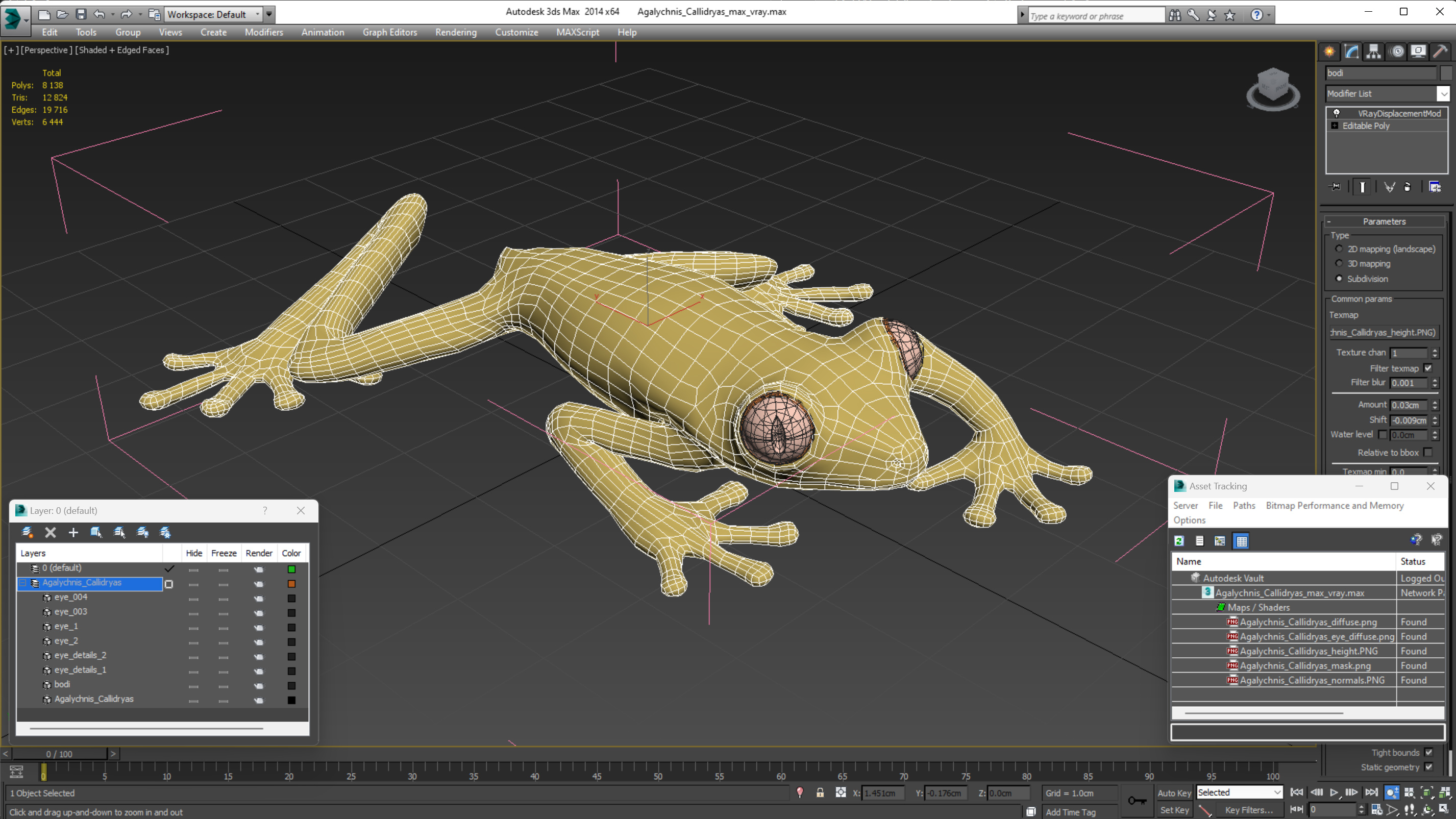 3D Agalychnis Callidryas