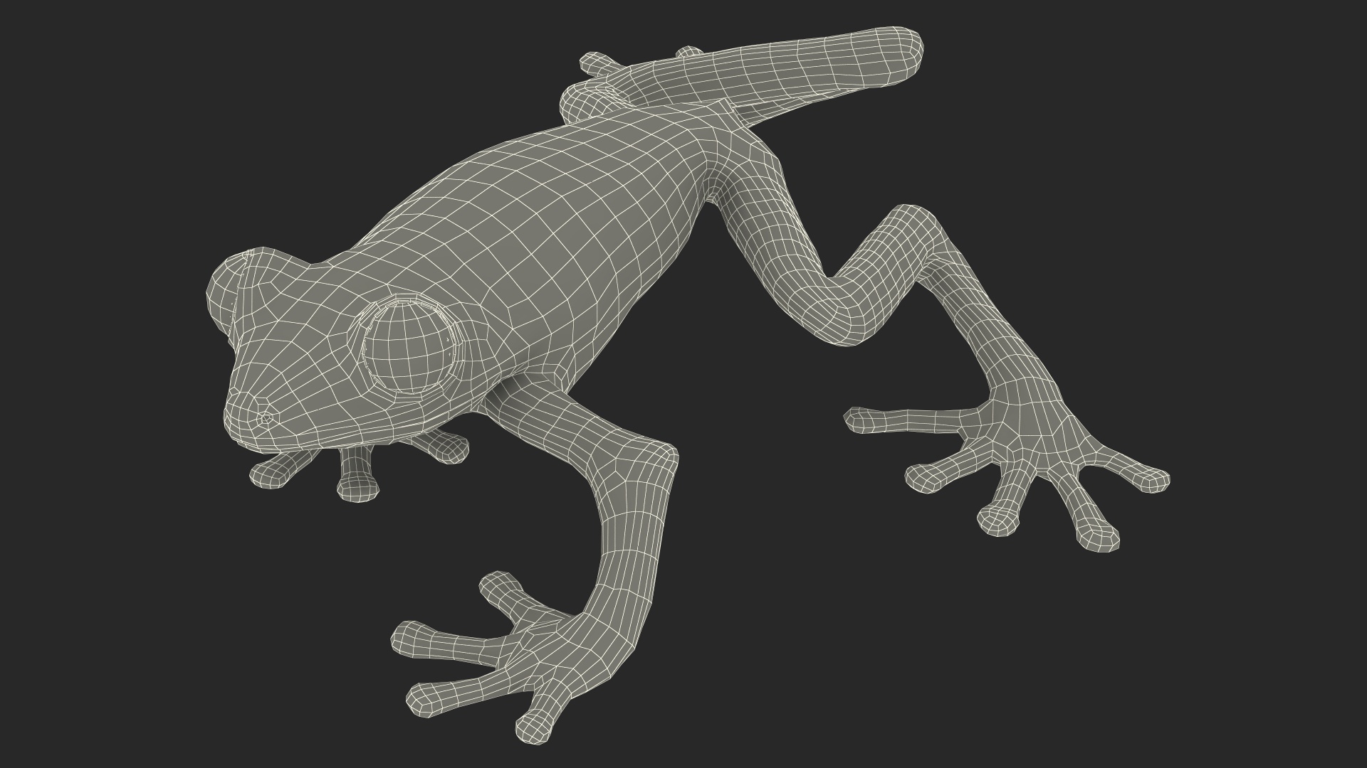 3D Agalychnis Callidryas