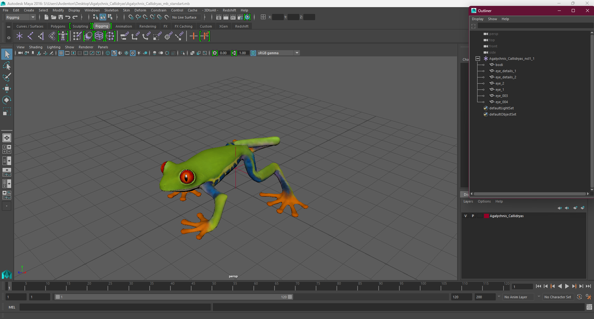 3D Agalychnis Callidryas