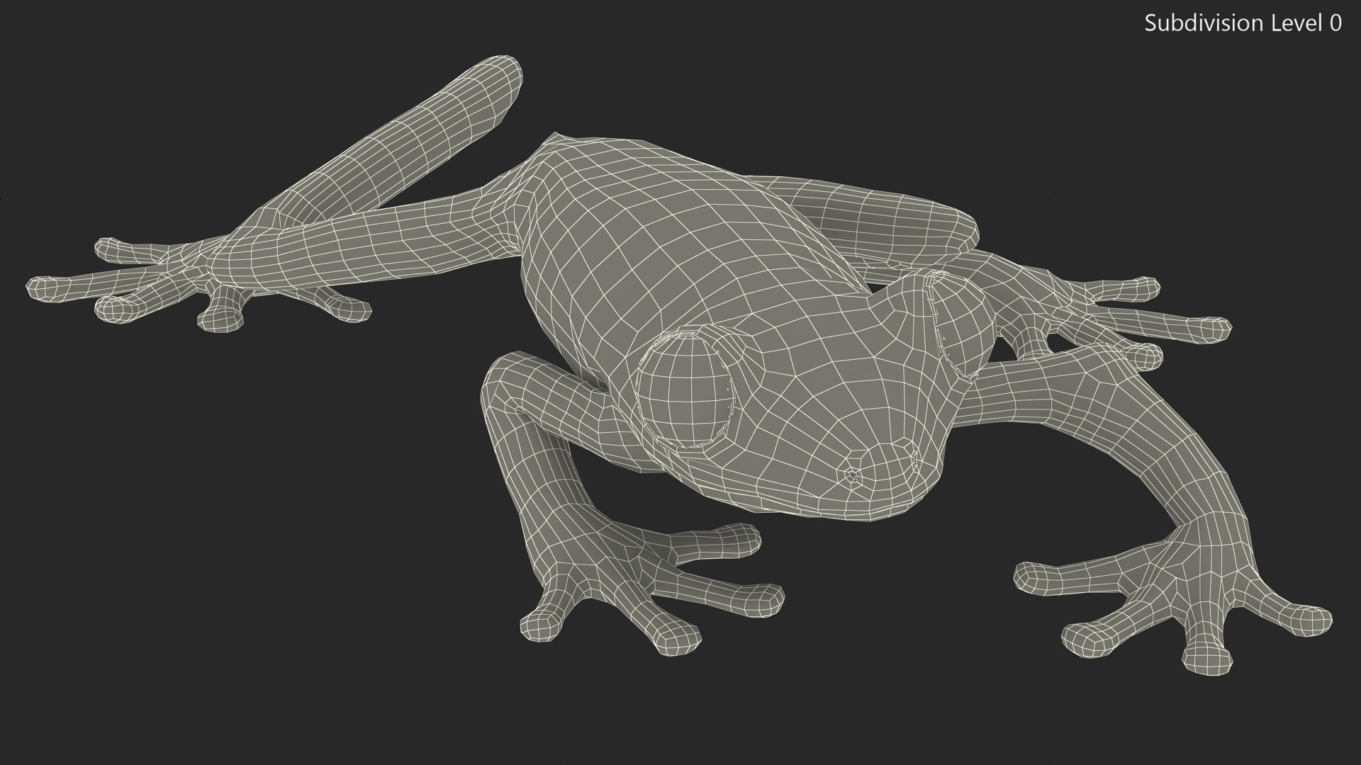 3D Agalychnis Callidryas
