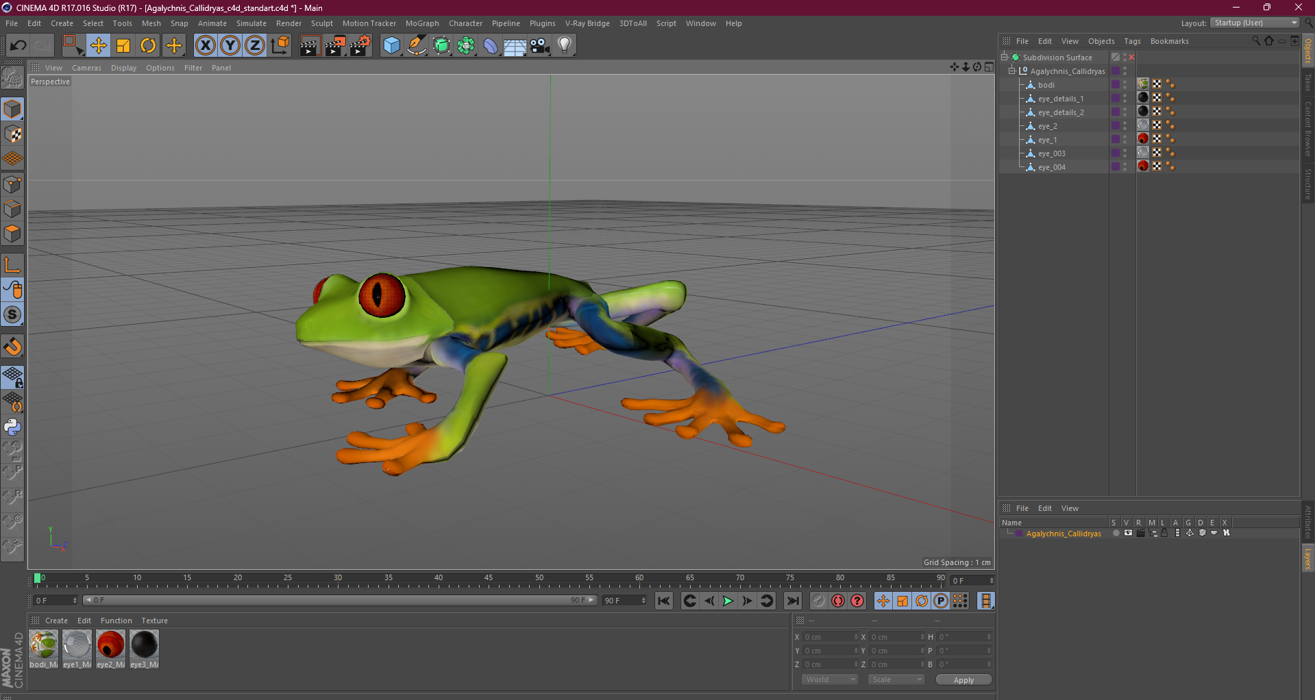 3D Agalychnis Callidryas