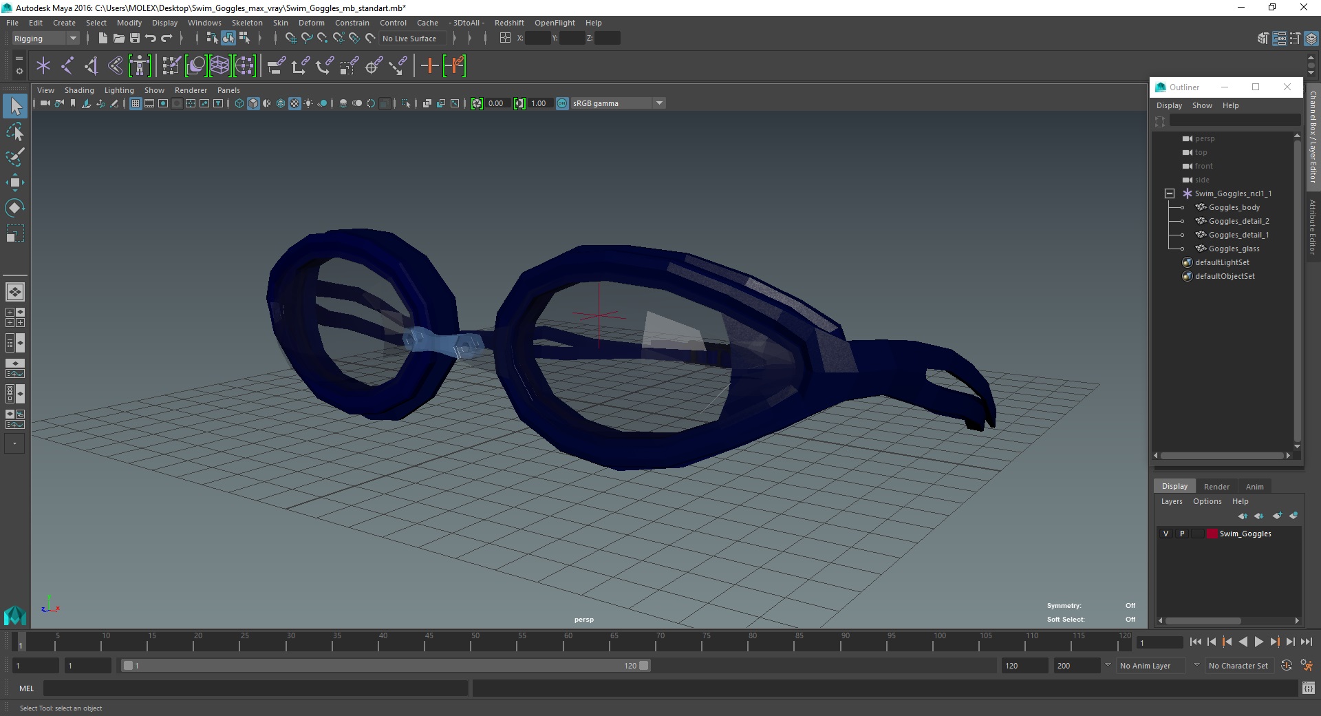 Swim Goggles 3D